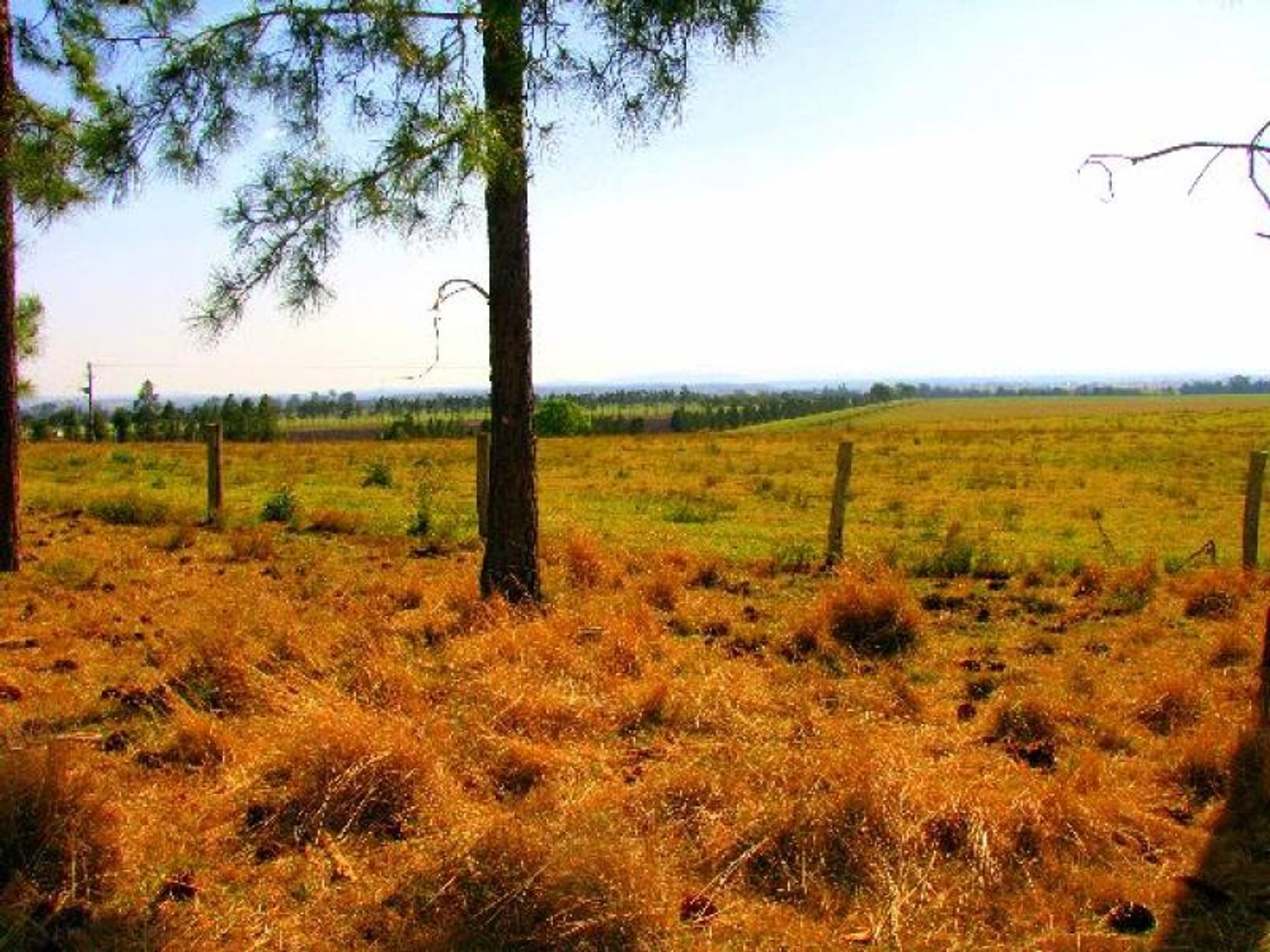 Fairy Hill NSW 2470, Fairy Hill - Thumbnail 6