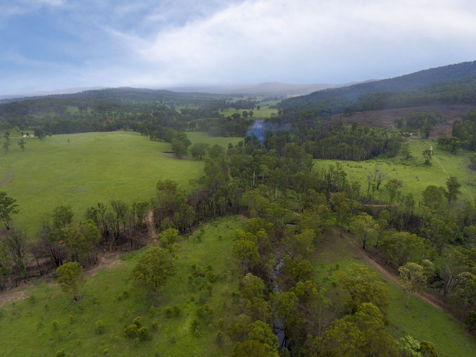 344 Flagstone Road, Legume, NSW 2476, Legume - Thumbnail 5