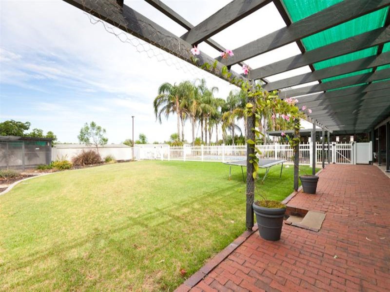 31 First Street, Nichols Point - Thumbnail 8