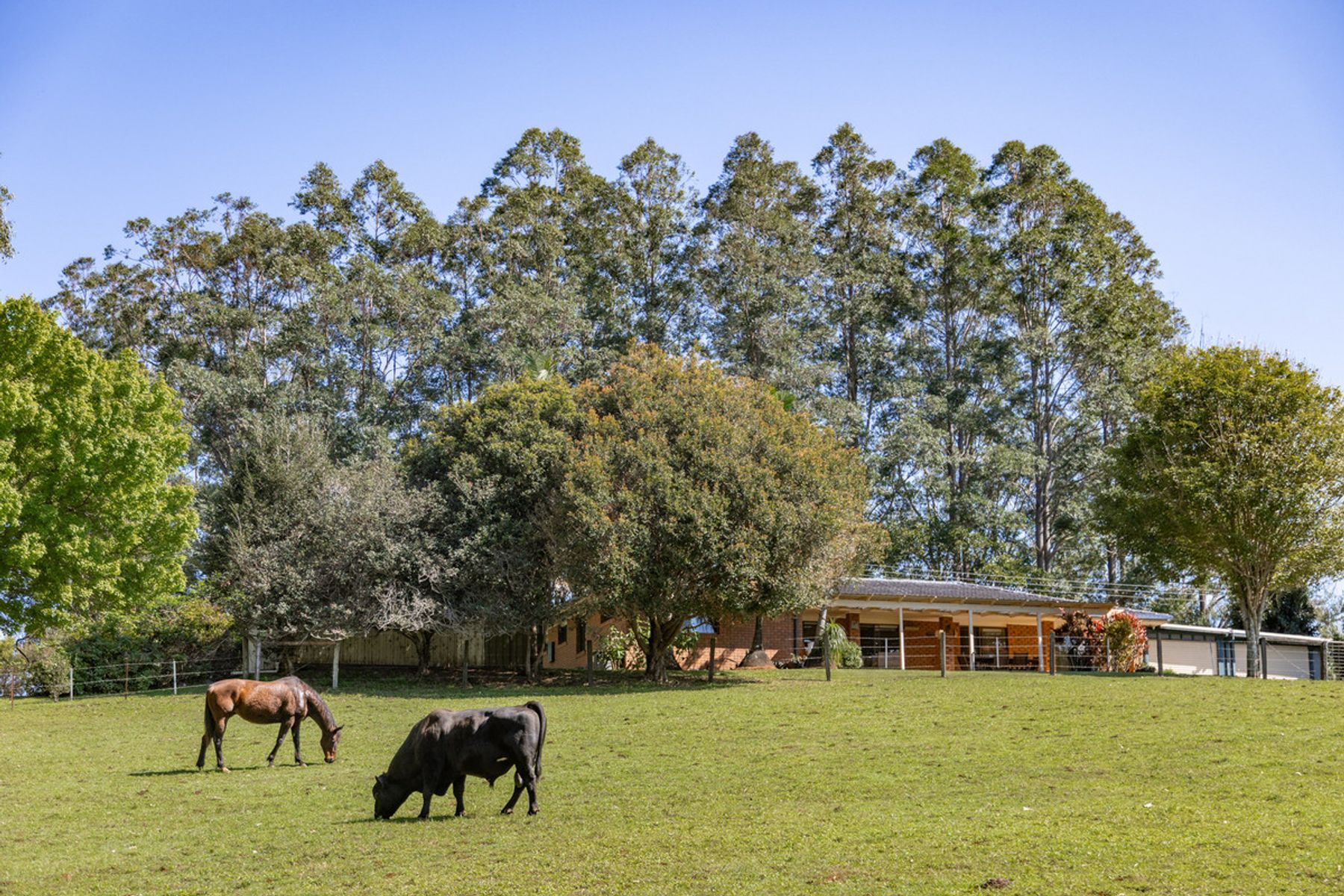 51 Kennedys Lane, Ewingsdale - Image 1