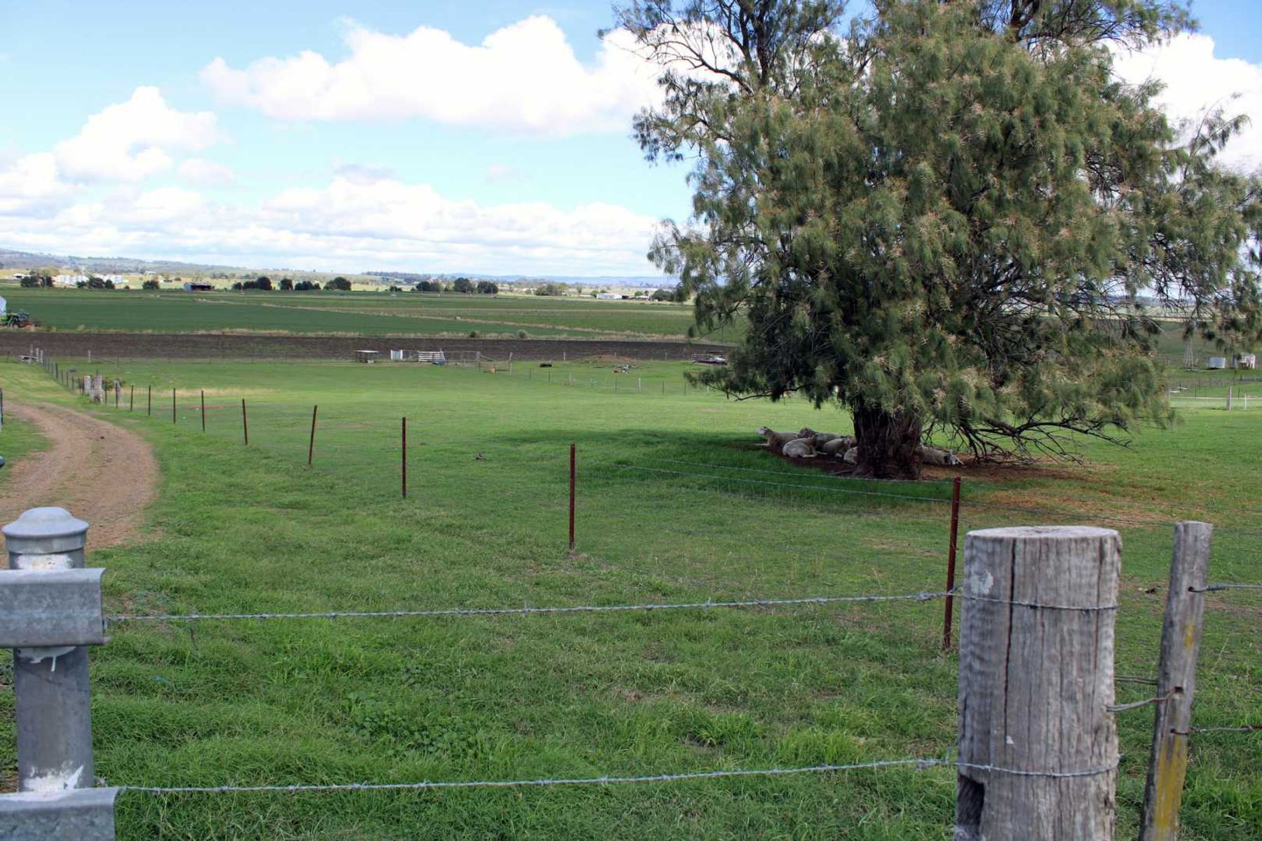 138 Claydons Road, Killarney - Thumbnail 7