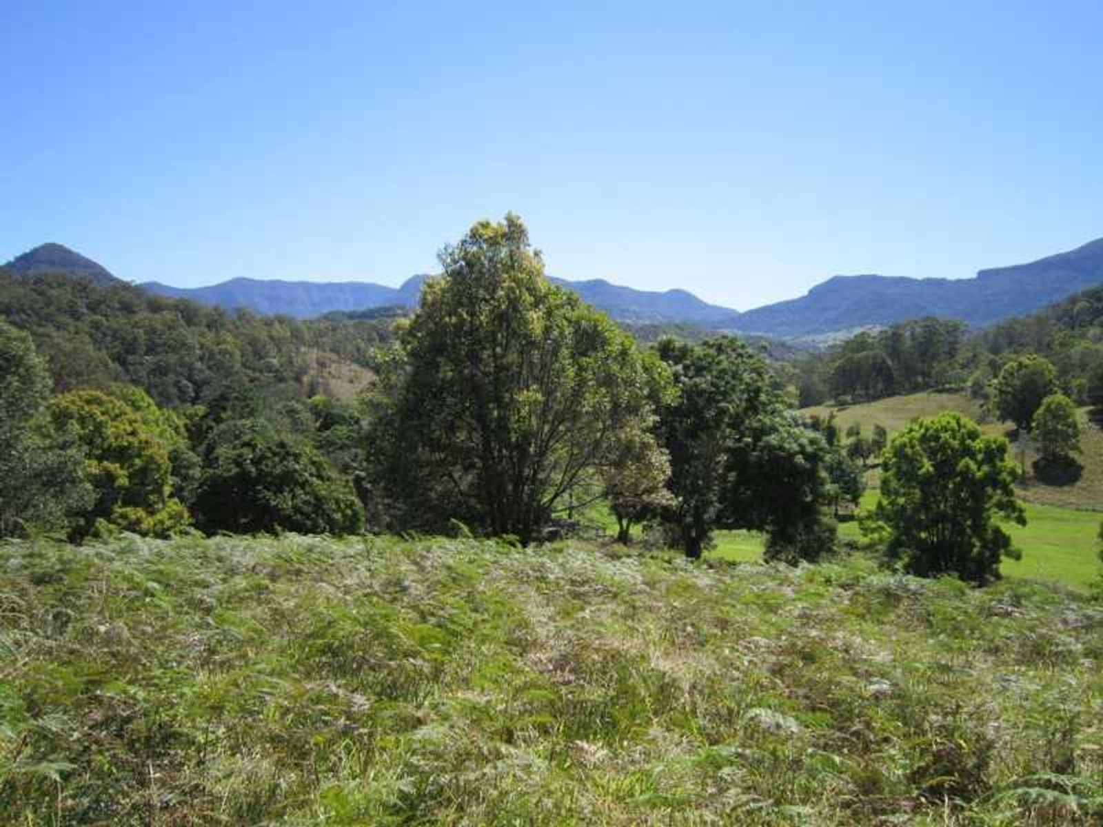 1468 Numinbah Road, Chillingham - Thumbnail 6