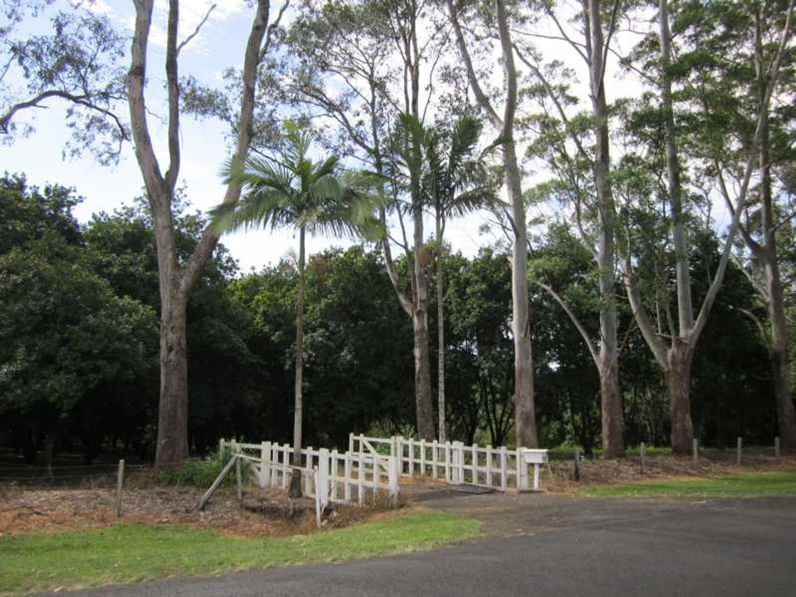 208 Fernleigh Road, Fernleigh - Thumbnail 5
