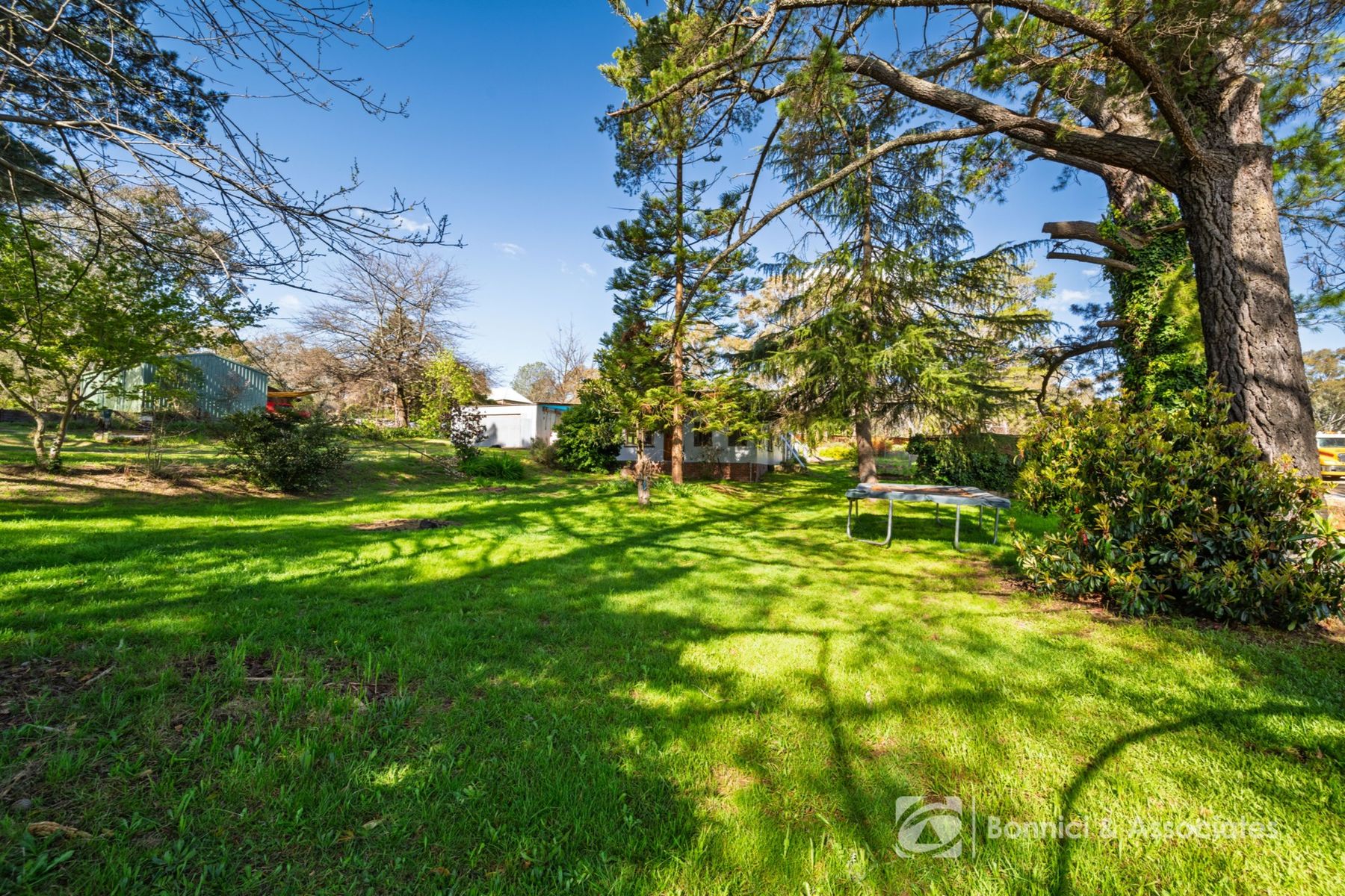 54 Barnard Street, Beechworth - Image 1