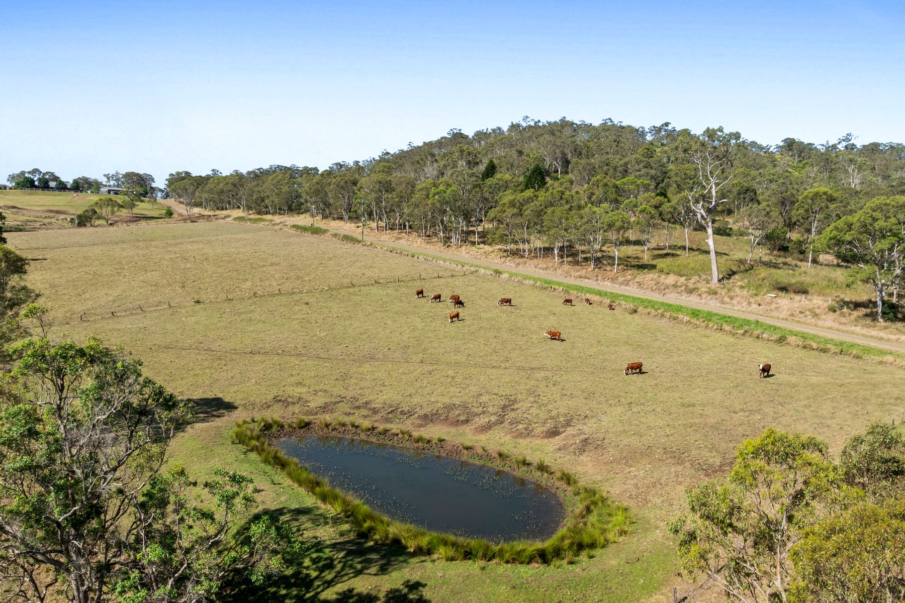 394 Preston Boundary Road, Preston QLD 4352, Preston - Thumbnail 6