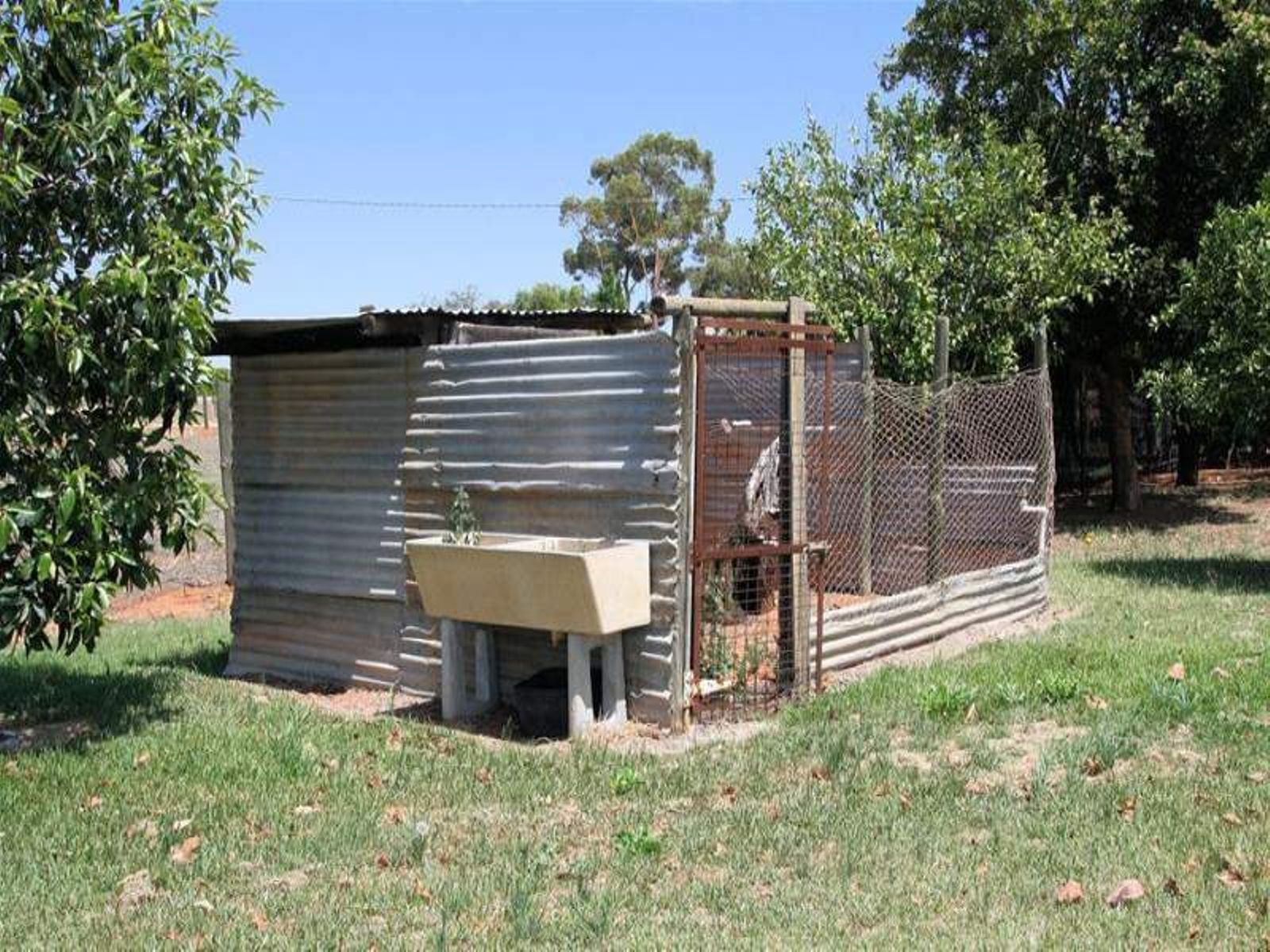 173 Dumosa Street, Red Cliffs - Thumbnail 8