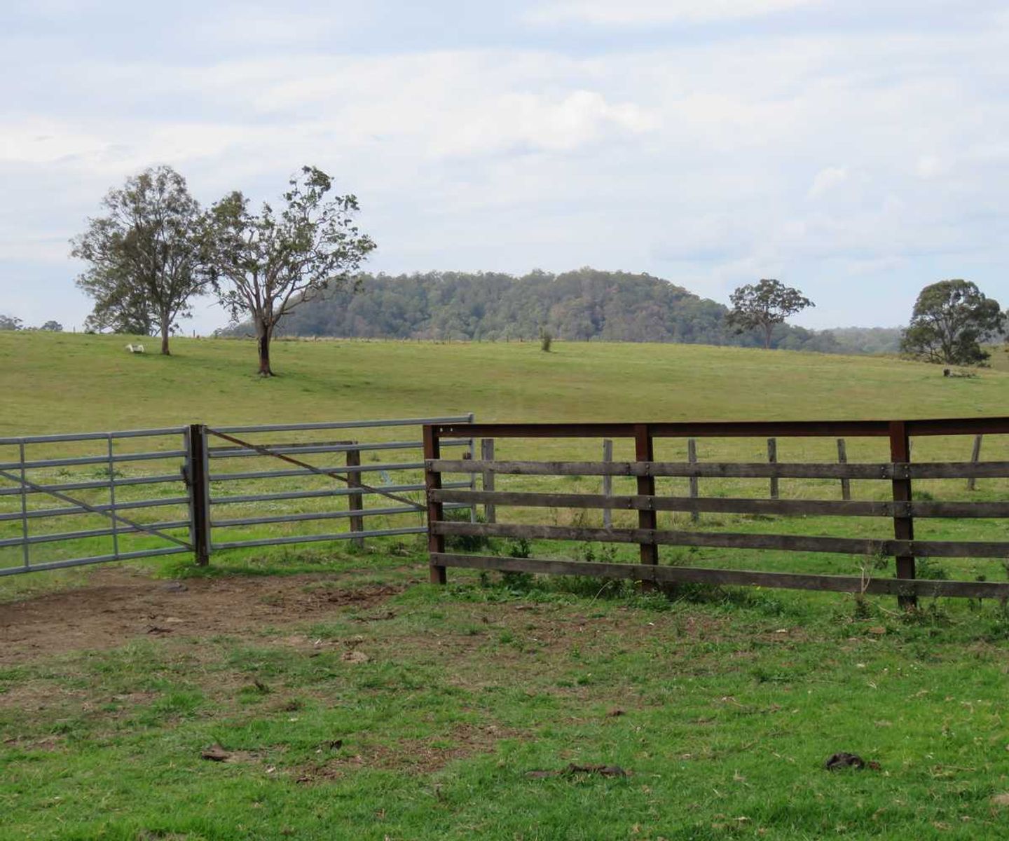 41 Battistuzzi Road, Spring Grove - Thumbnail 7