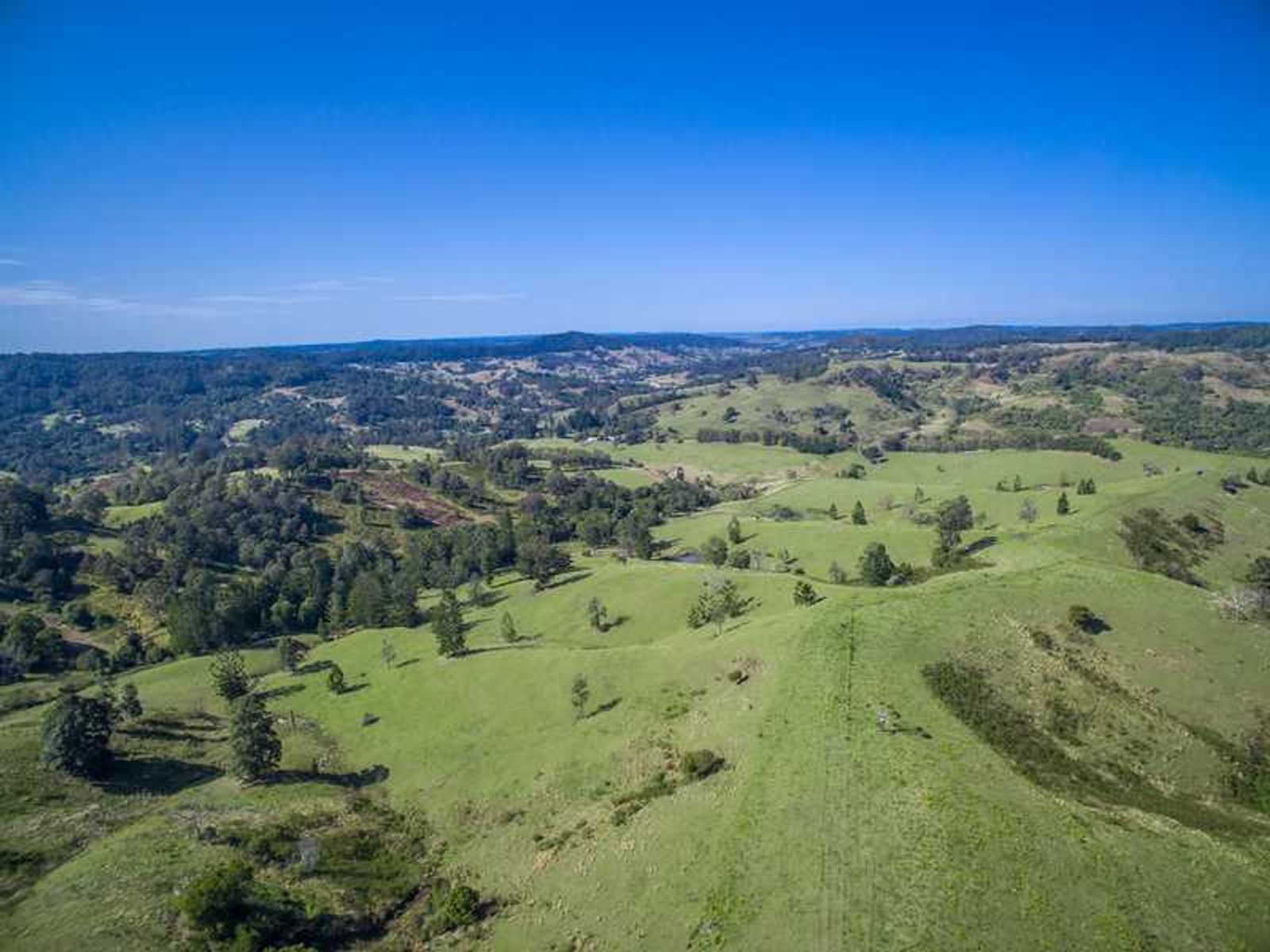 24 Oakey Creek Road, Georgica - Thumbnail 7