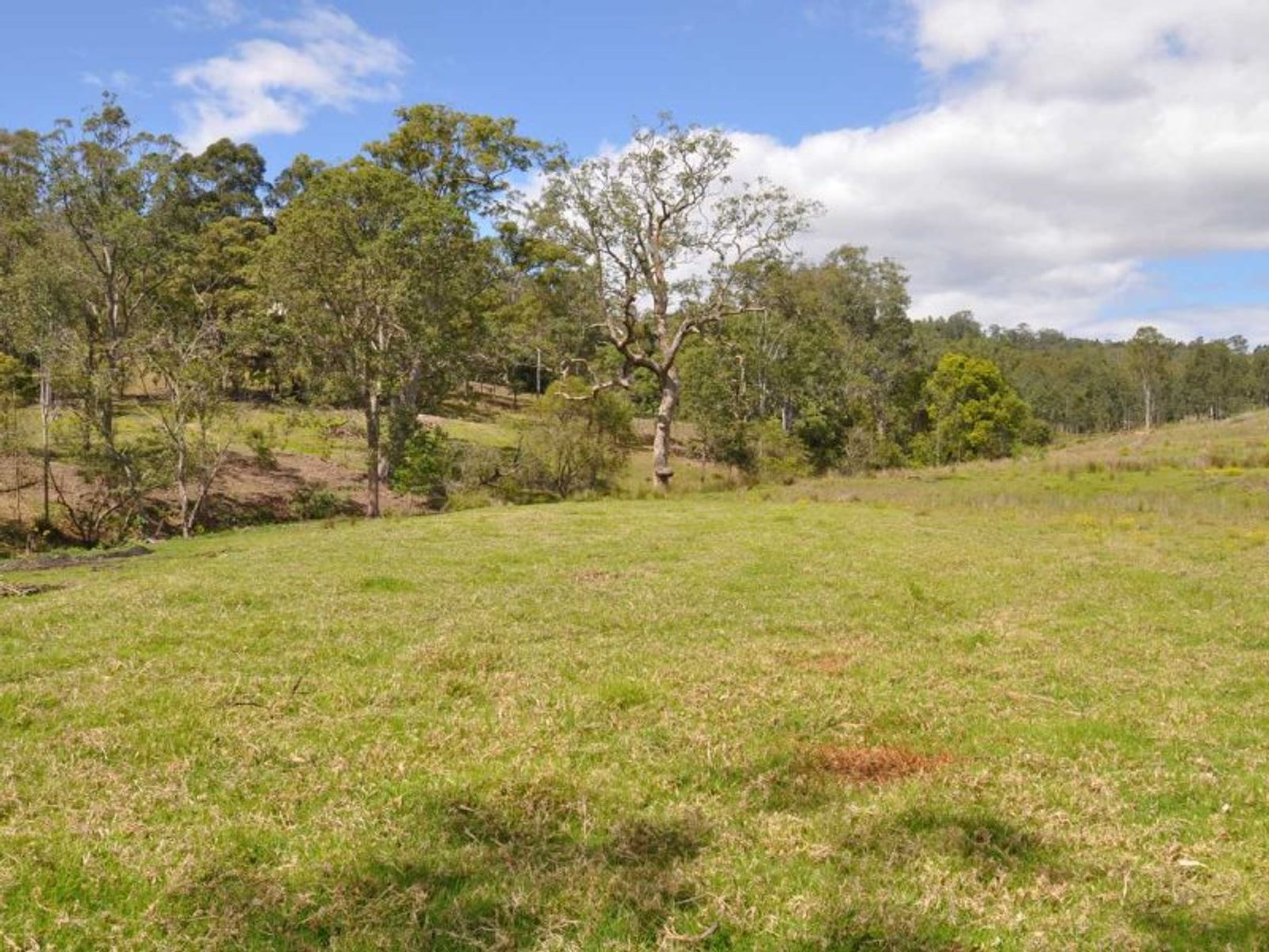 64 Nicholls Rd, Mummulgum - Thumbnail 7