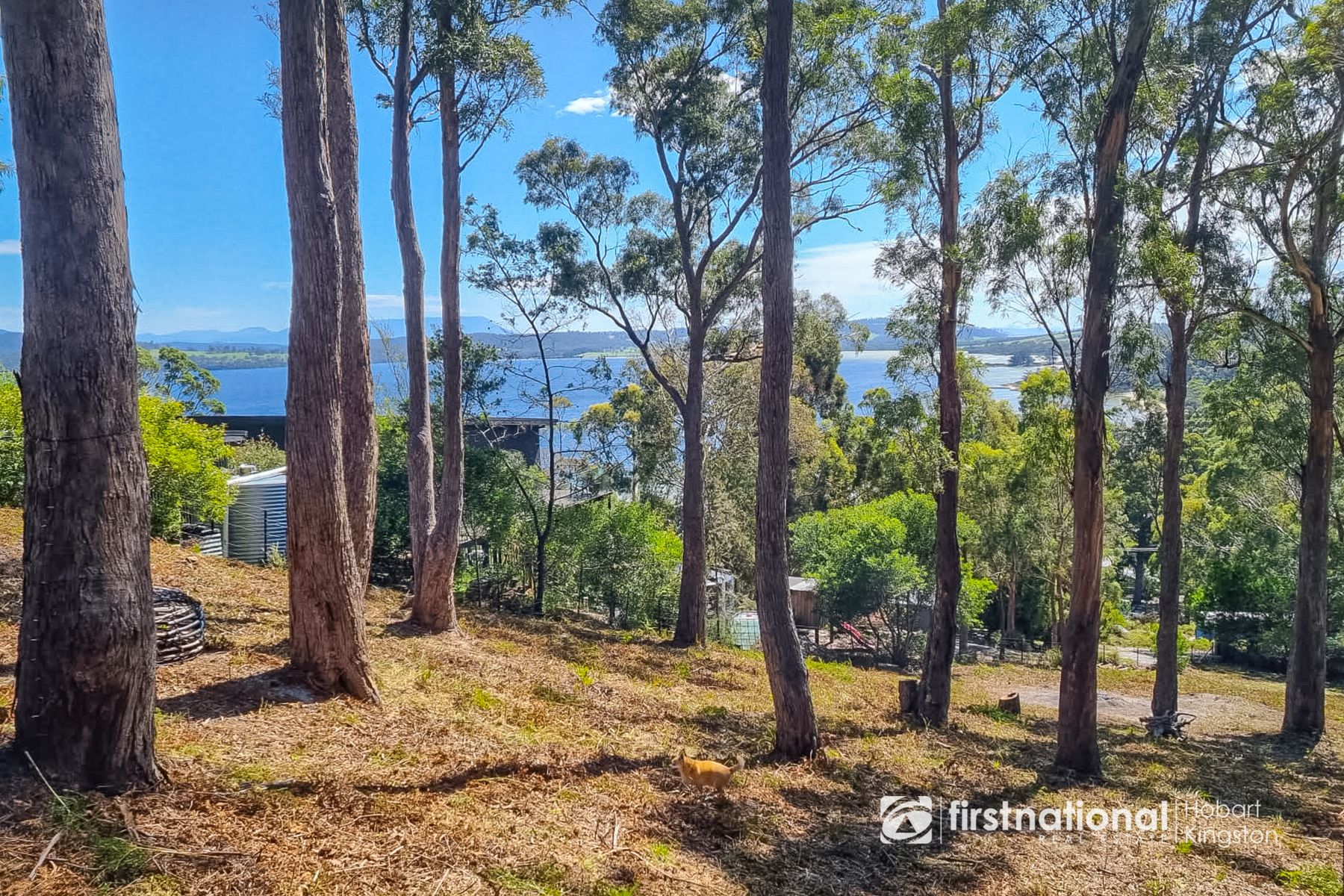 48 Blyth Parade, Great Bay TAS 7150, Great Bay - Thumbnail 8