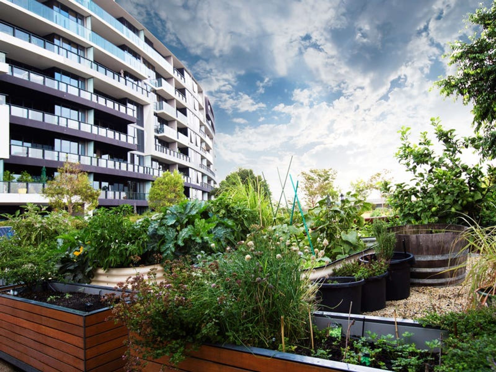507/770B Toorak Road, Glen Iris, VIC 3146, Glen Iris - Thumbnail 8
