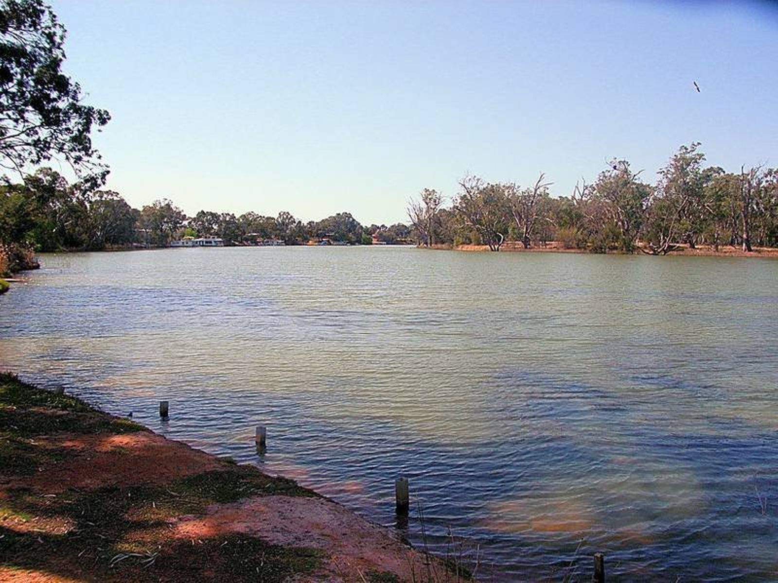 24 River Drive, Buronga - Thumbnail 2