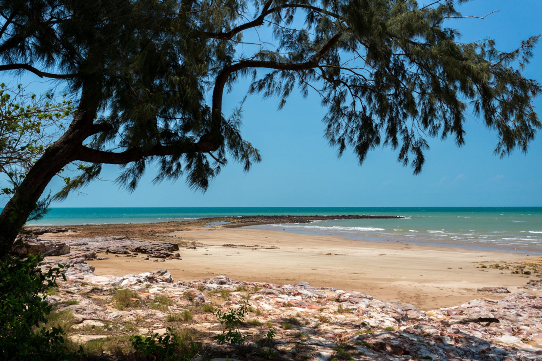 10 Cunjevoi Crescent, Nightcliff NT 0810, Nightcliff - Thumbnail 3