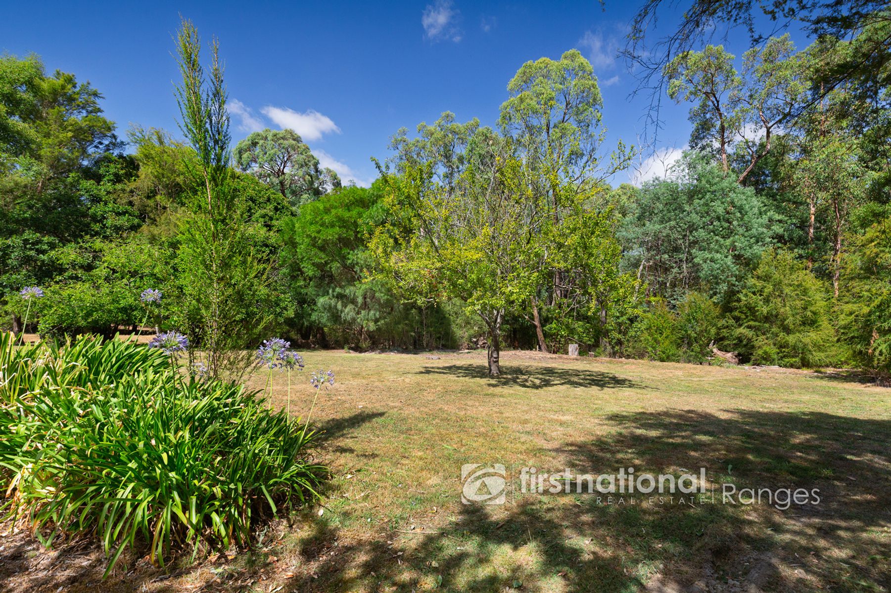 58 Lusatia Park Road, Woori Yallock VIC 3139, Woori Yallock - Thumbnail 4