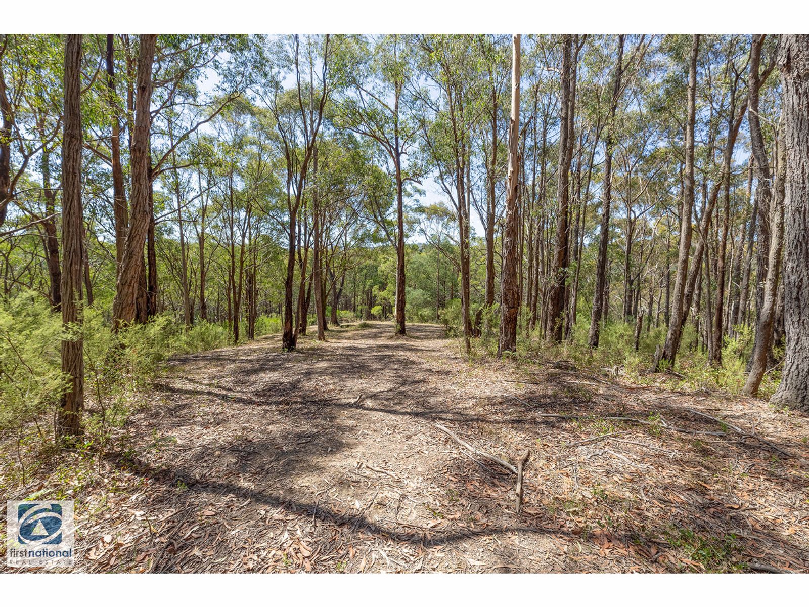 570 Mt Baw Baw Tourist Road, Noojee, VIC 3833, Noojee - Thumbnail 8