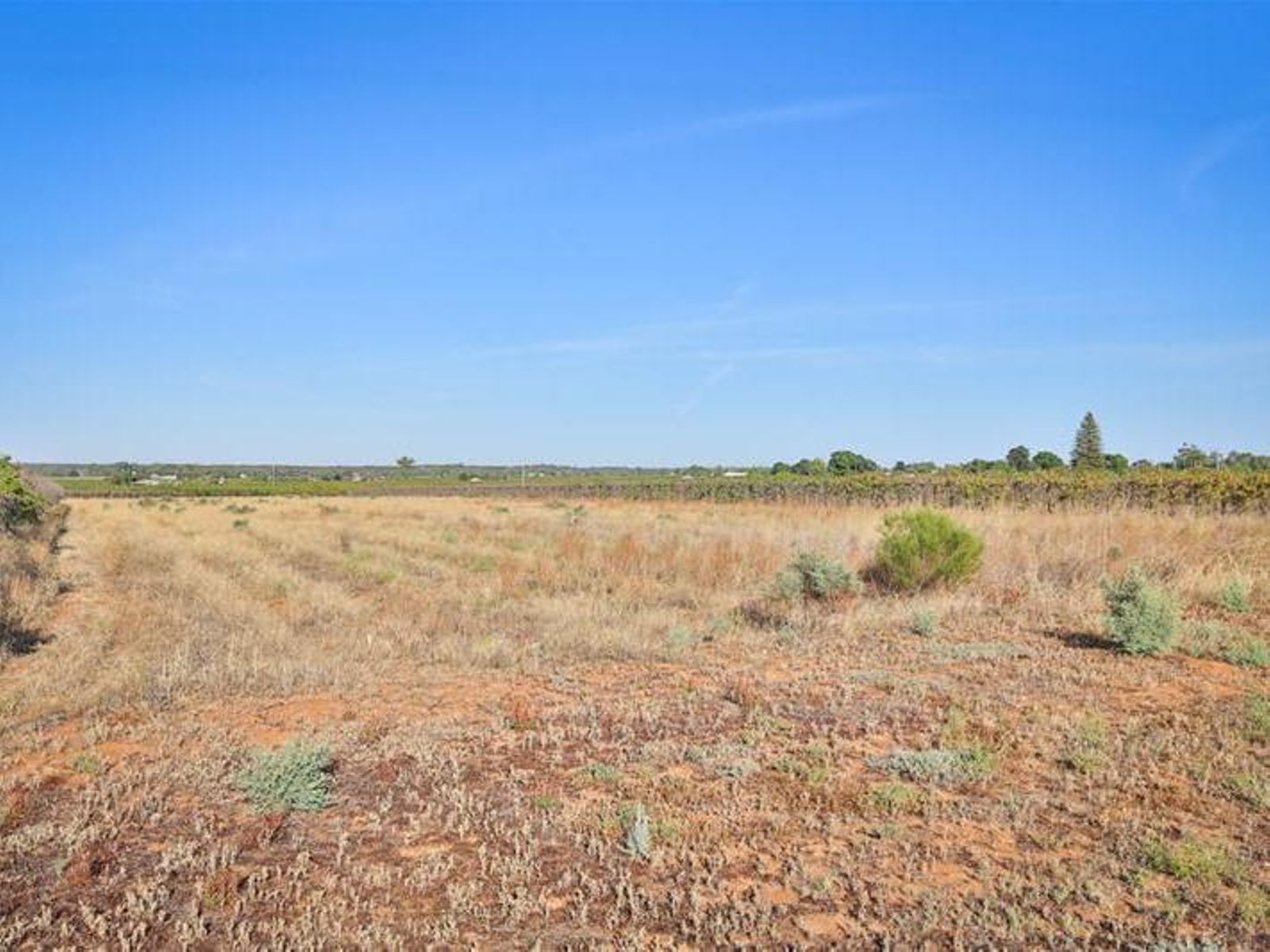 99 Cowanna Avenue, Merbein - Thumbnail 7