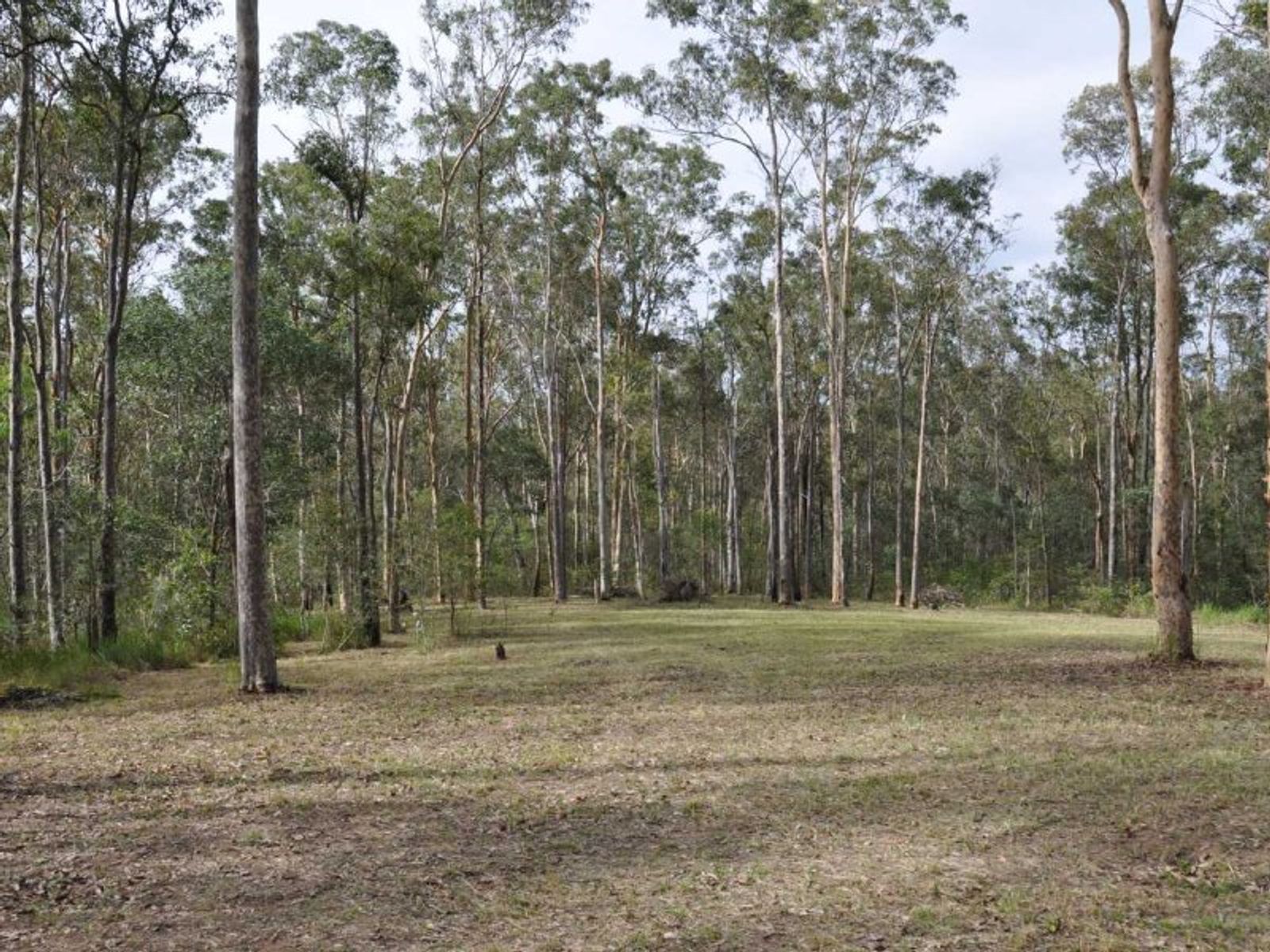 Bruxner Road NSW 2469, Bruxner Road - Thumbnail 4