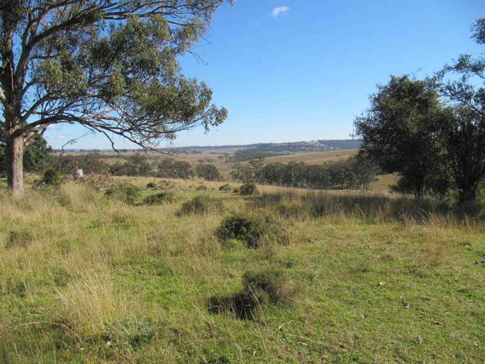 Barlows Gate Road QLD 4373, Barlows Gate Road - Thumbnail 4
