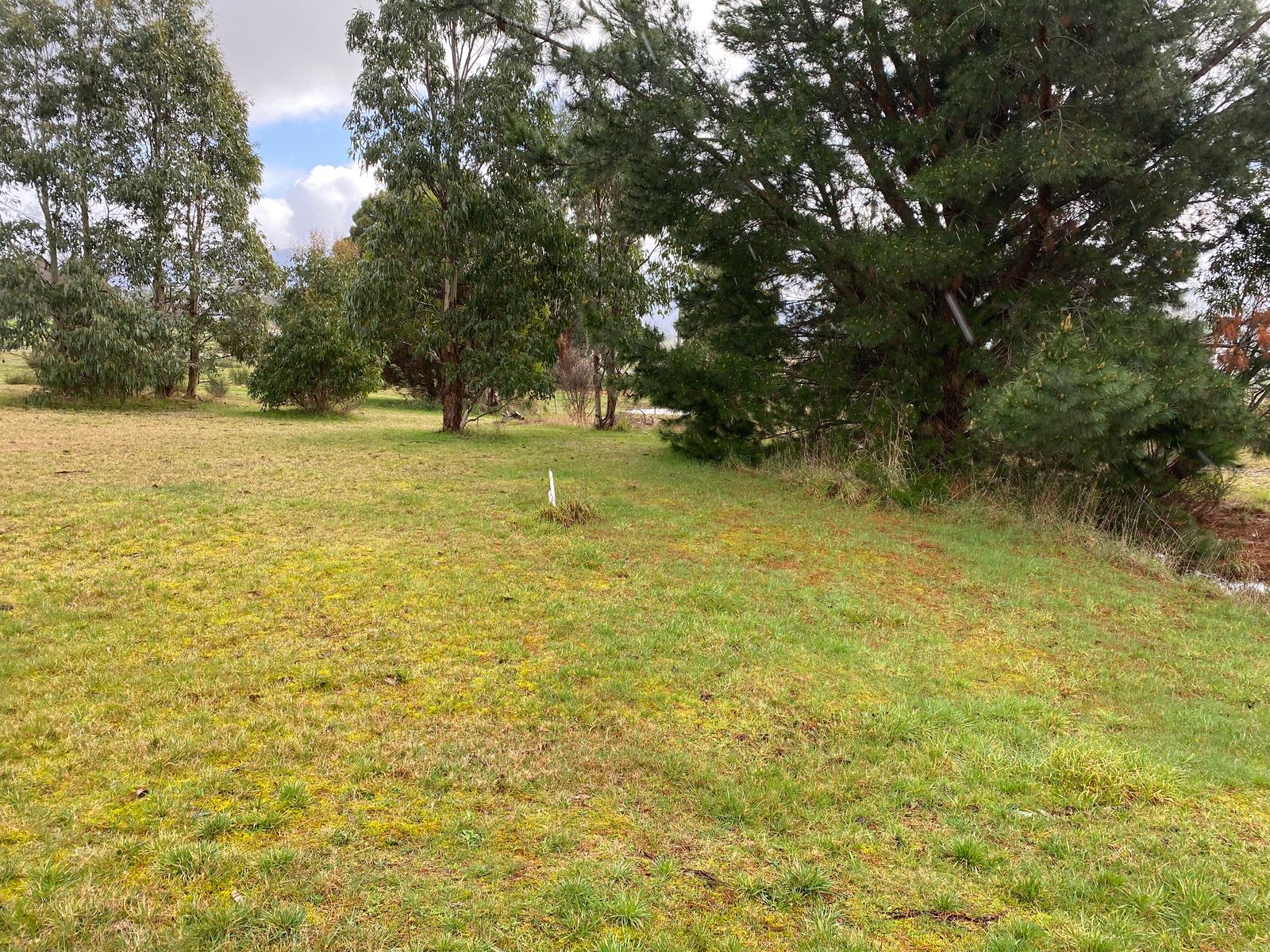 43 Union Bridge Road, Mole Creek TAS 7304, Mole Creek - Thumbnail 6