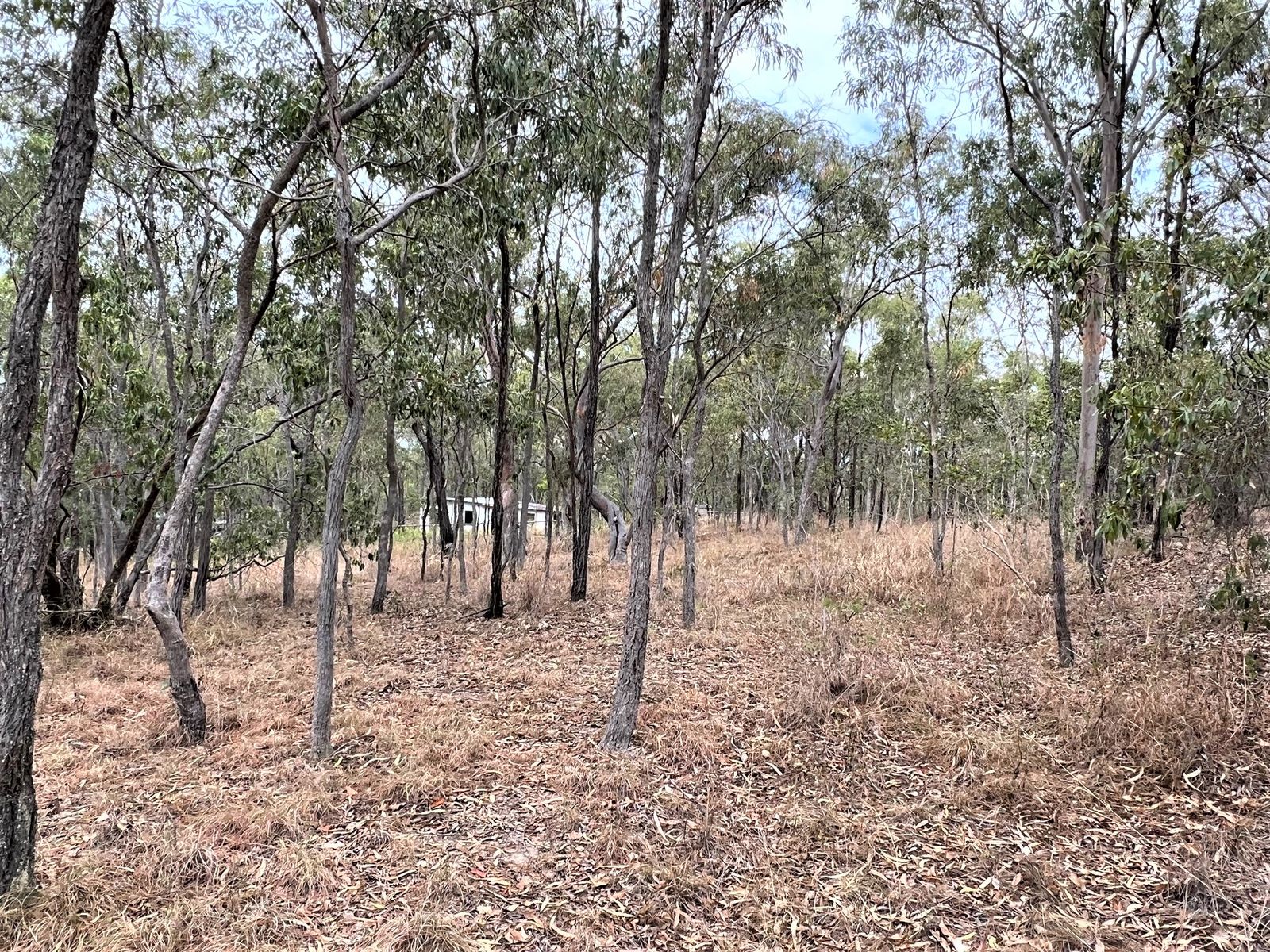 36 Flaggy Rock Road, Clairview QLD 4741, Clairview - Thumbnail 4