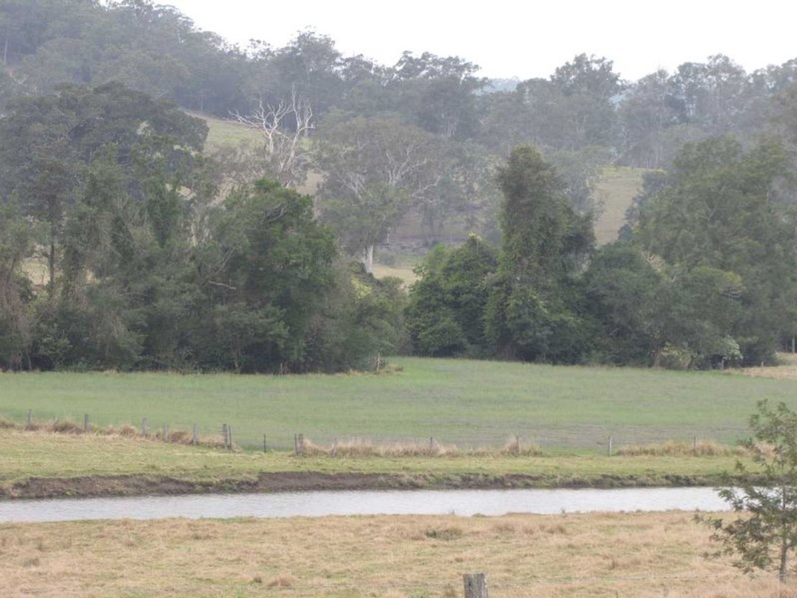 271 Bingeebeebra Creek Road, Mummulgum - Thumbnail 7