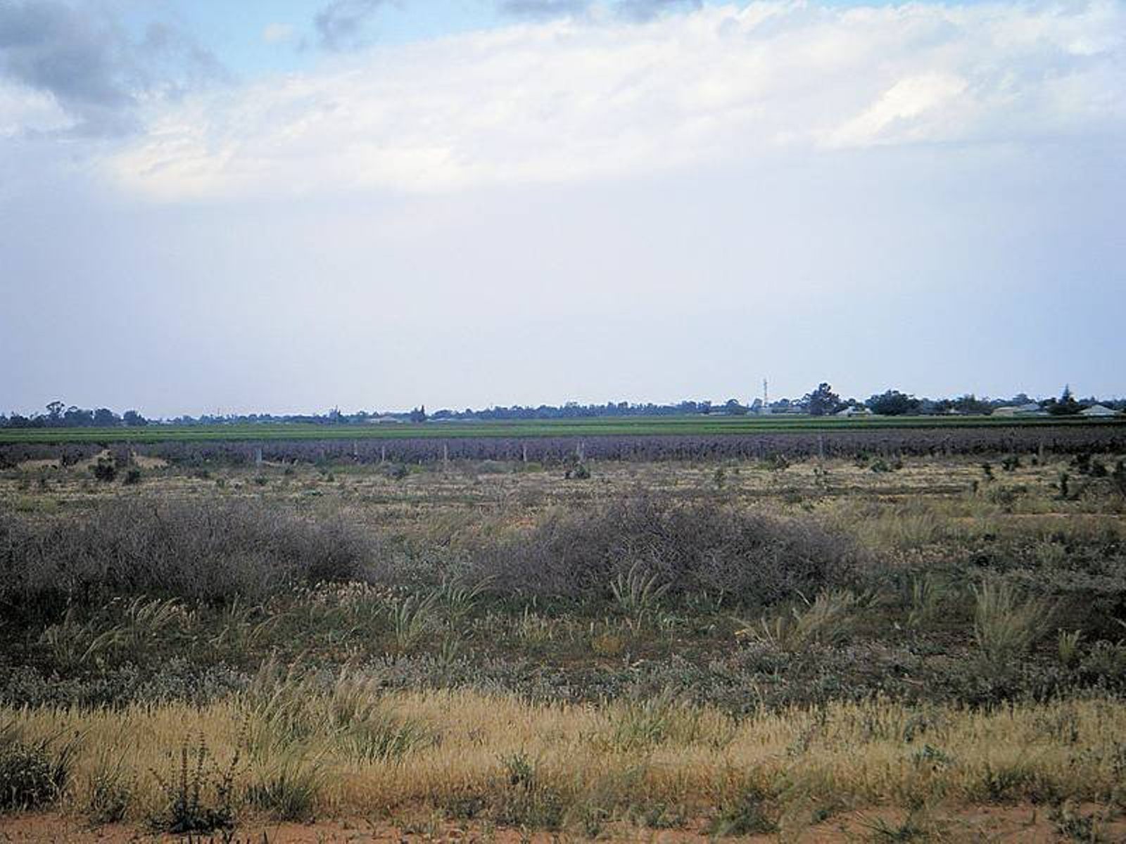 3148 Riverside Avenue, Mildura - Thumbnail 5