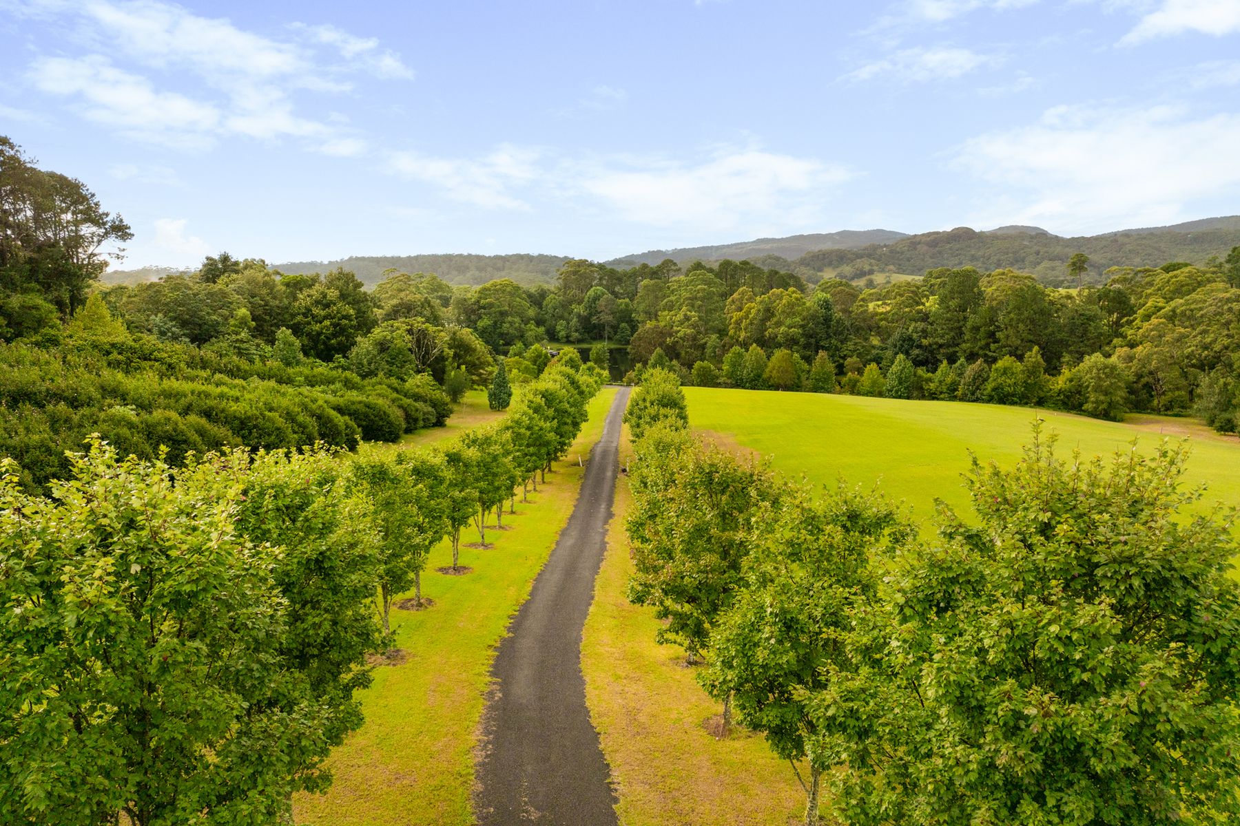 17 Lyrebird Ridge Road, Springbrook QLD 4213, Springbrook - Thumbnail 4