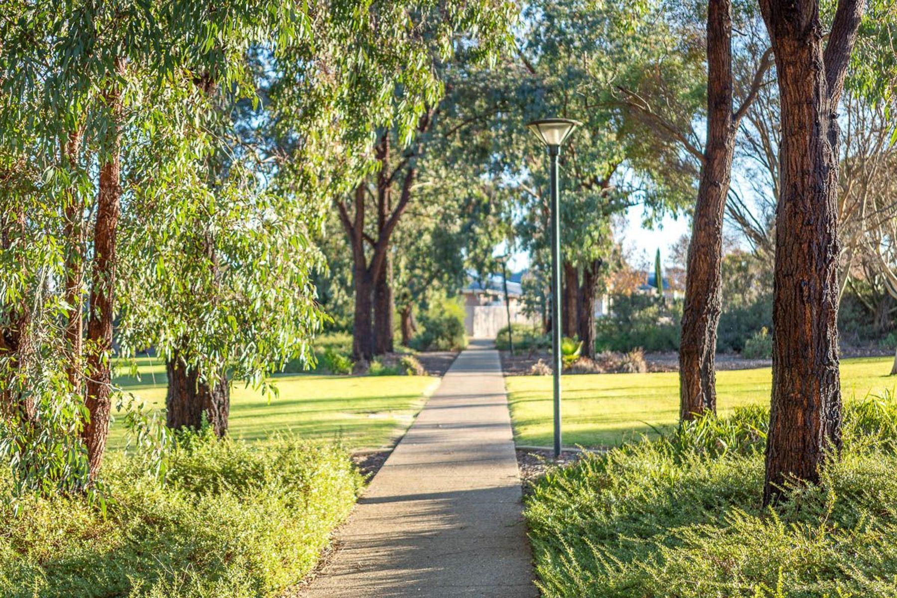 Lot 201 Melaleuca Way, Murray Bridge SA 5253, Murray Bridge - Thumbnail 4