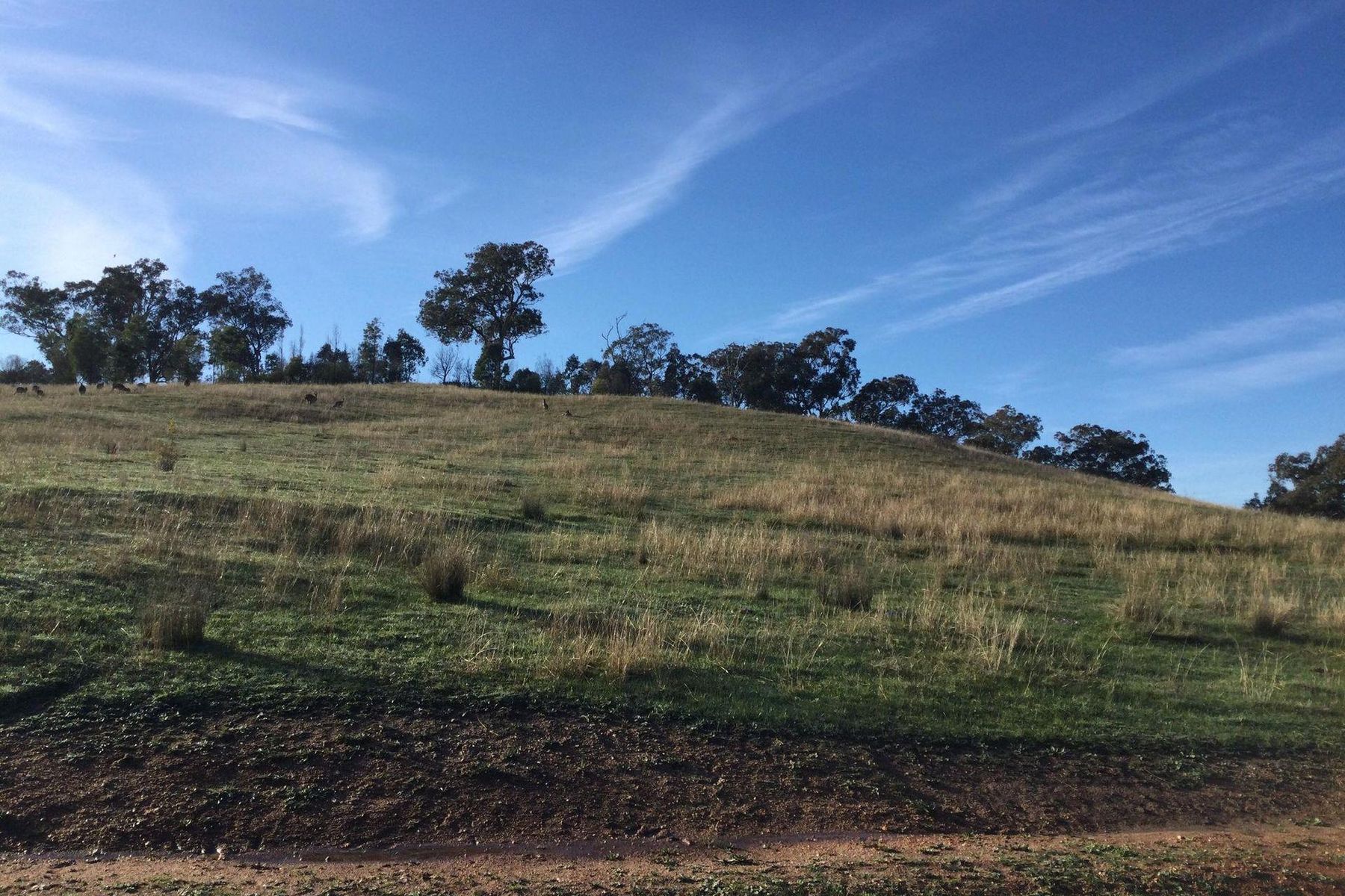 3 Sticklewort Street, Wodonga VIC 3690, Wodonga - Thumbnail 5