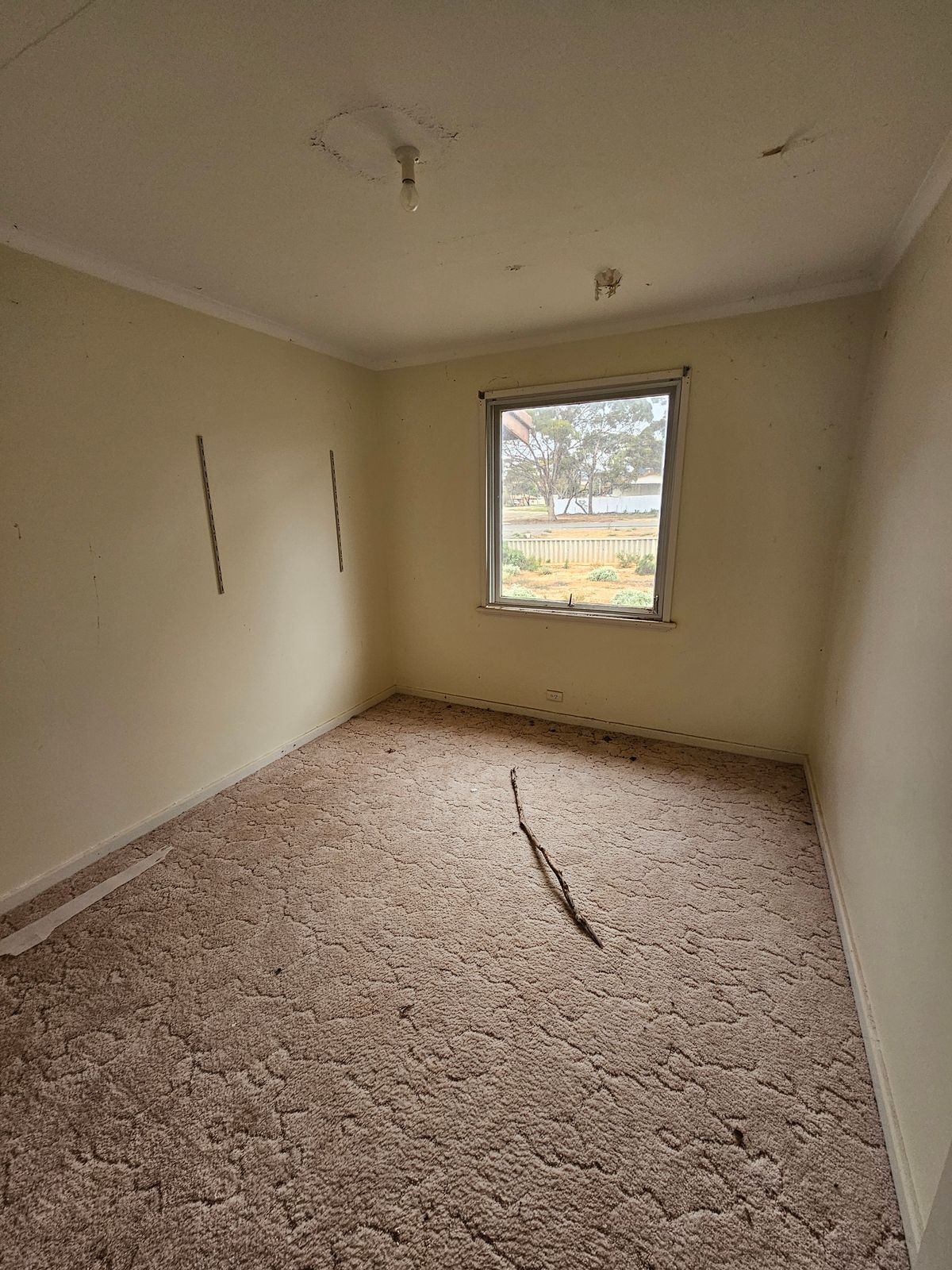 113 Goodliffe Street, Norseman WA 6443, Norseman - Thumbnail 6
