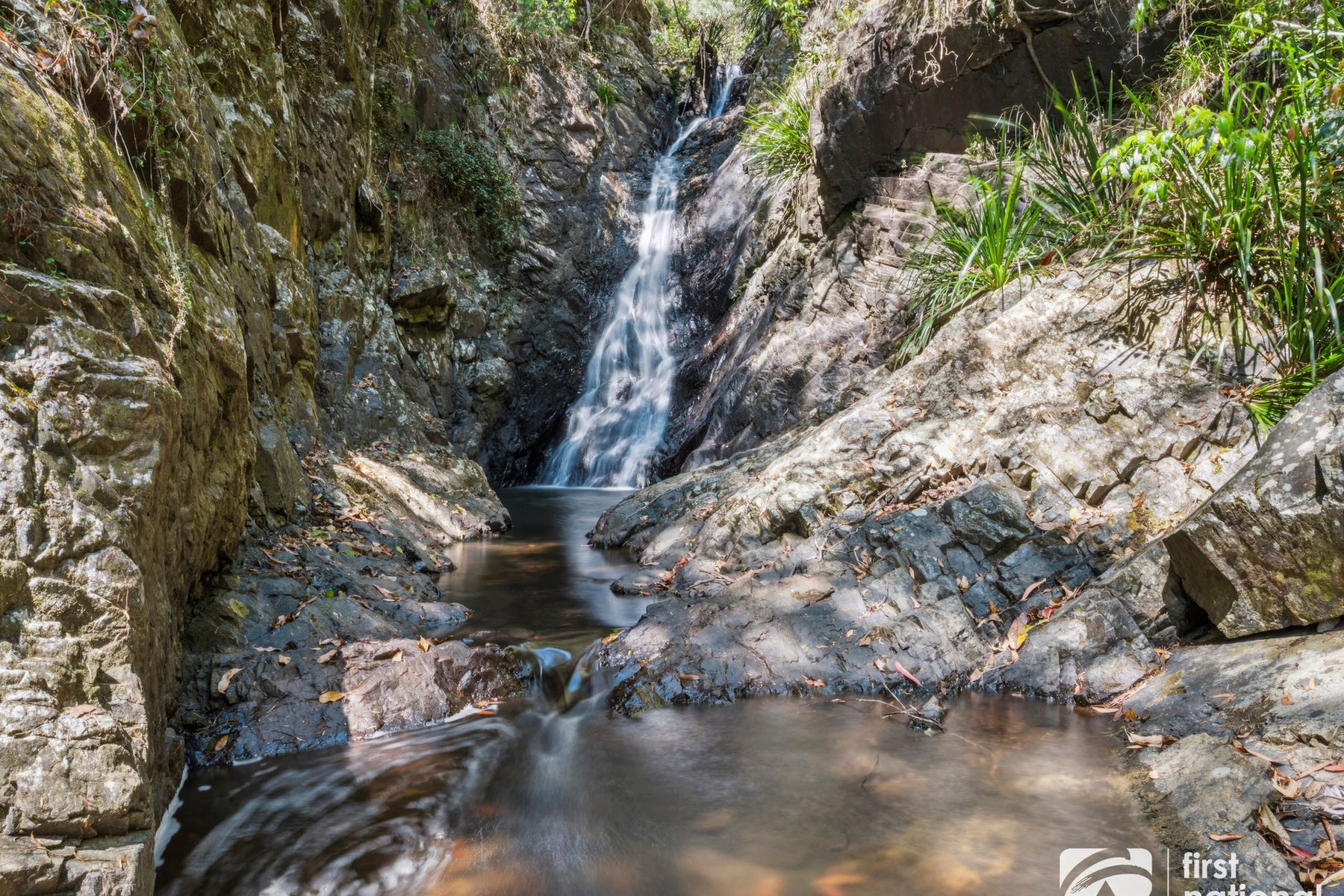 164B Fridays Creek Road, Upper Orara NSW 2450, Upper Orara - Thumbnail 7