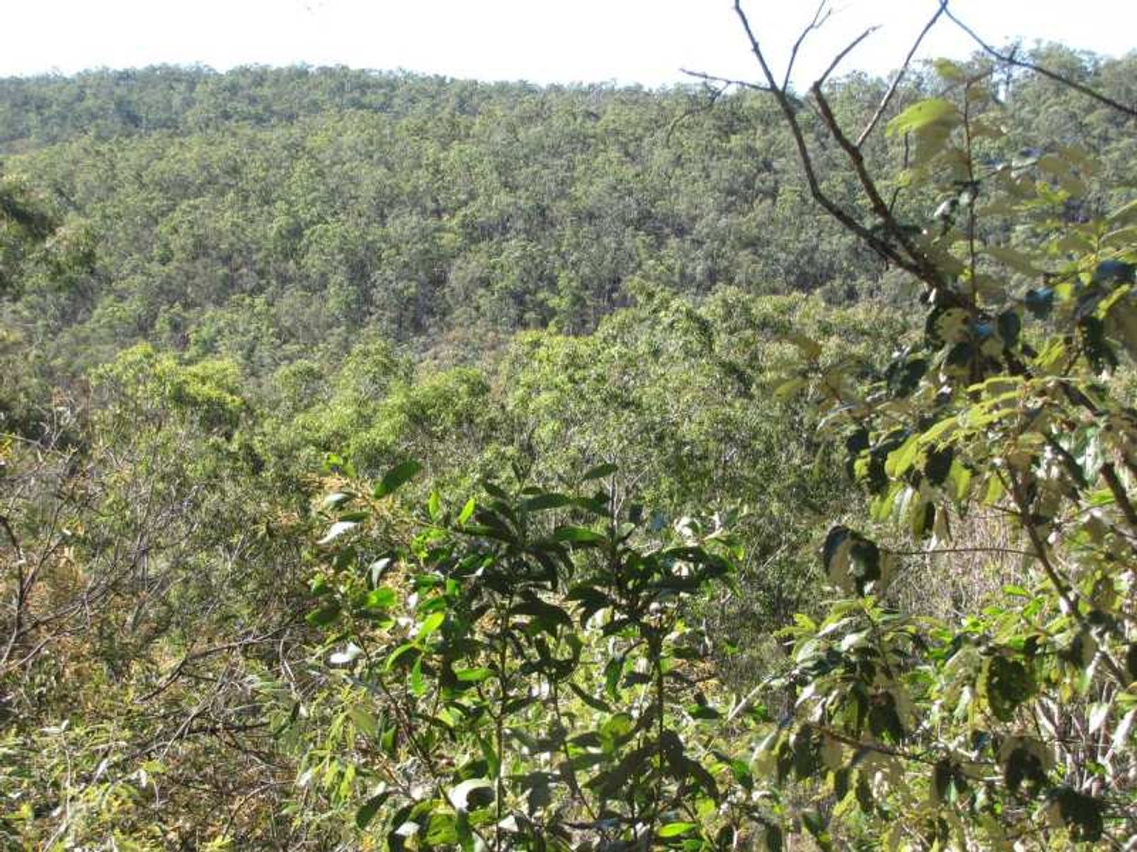Lot 1, Bruxner Highway, Tabulam - Thumbnail 5
