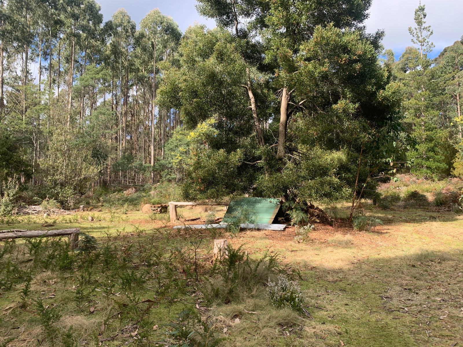 Lot 1 North St, Elizabeth Town TAS 7304, Elizabeth Town - Thumbnail 4