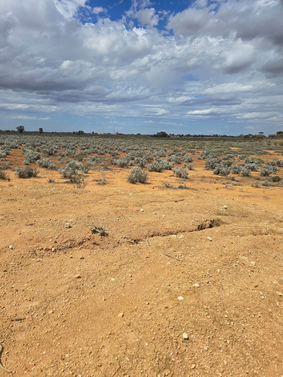 121 Yandiah Road, Morgan SA 5320, Morgan - Thumbnail 2
