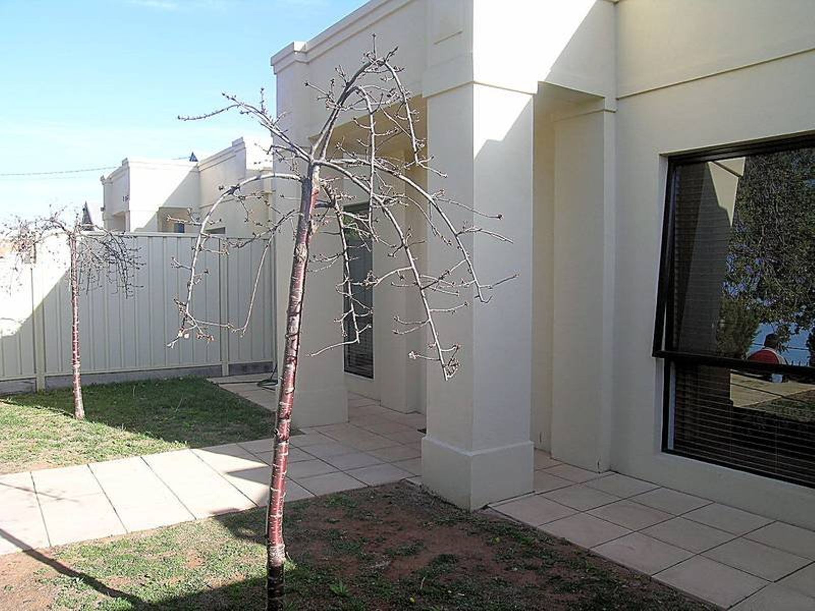 2/175 Tenth Street, Mildura - Thumbnail 2
