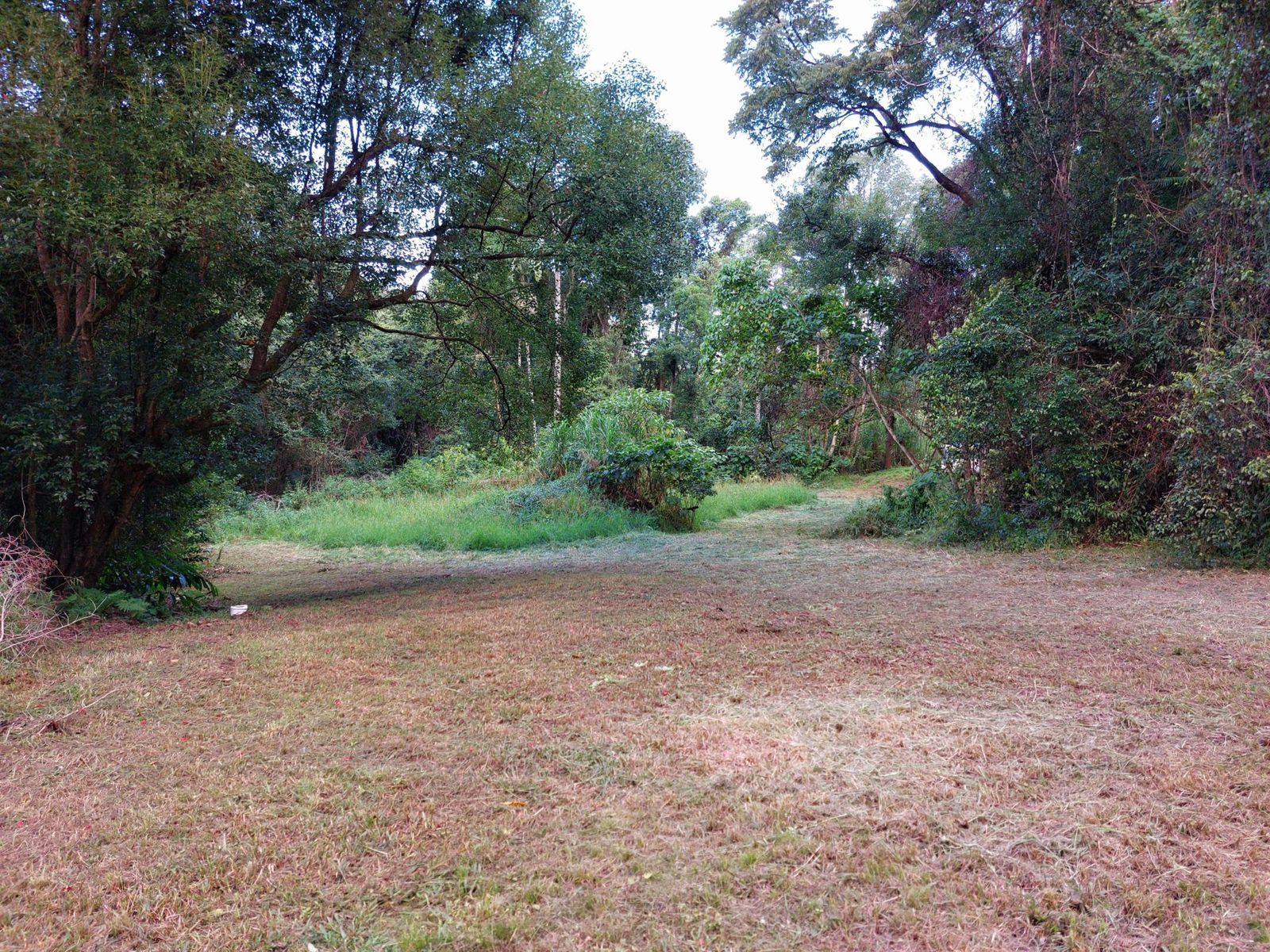 2/114 2/114  Maso Rd, Repentance Creek - Thumbnail 8