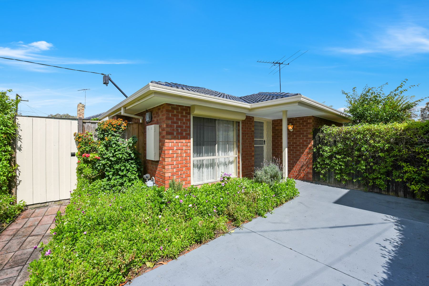 2 Treeby Court, Springvale South, VIC 3172, Springvale South - Thumbnail 3