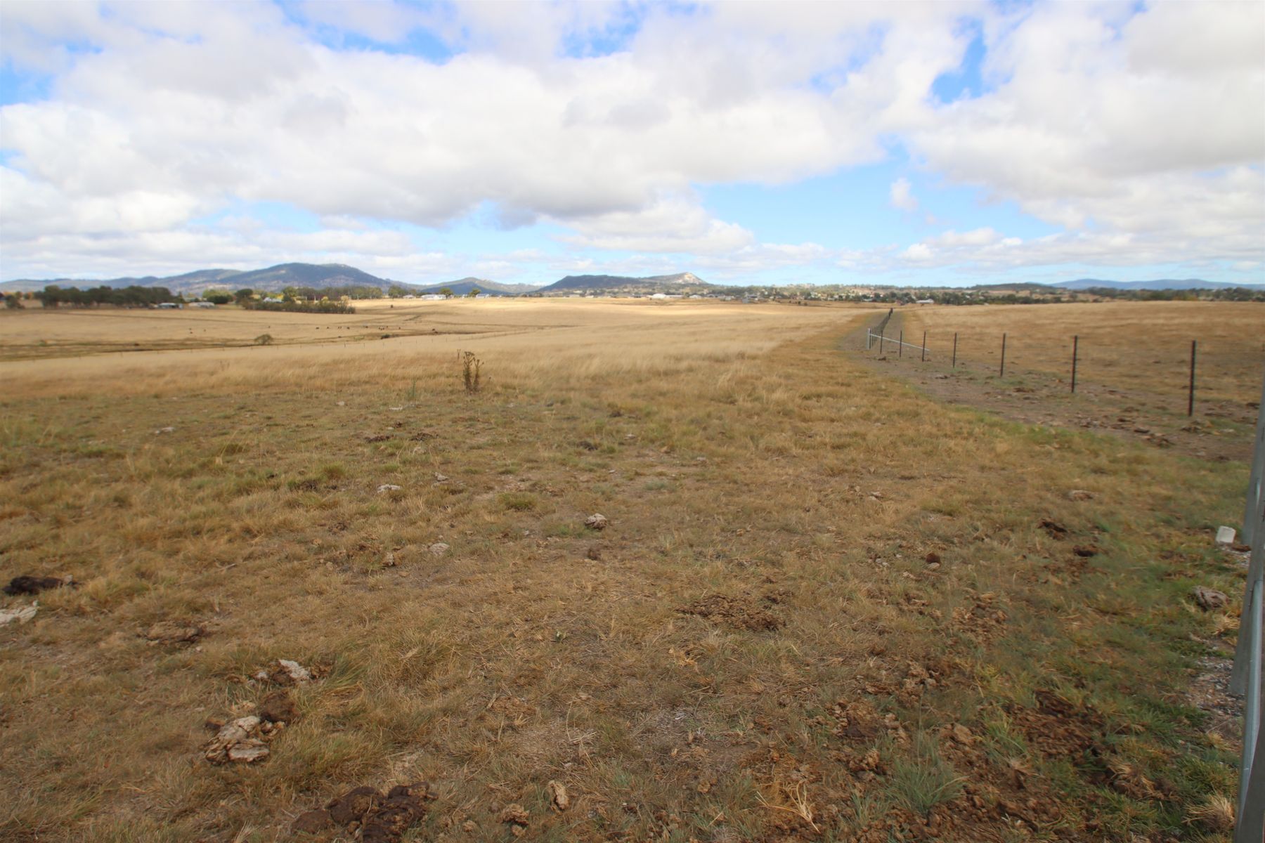 113A Bellevue Road, Tenterfield NSW 2372, Tenterfield - Thumbnail 6