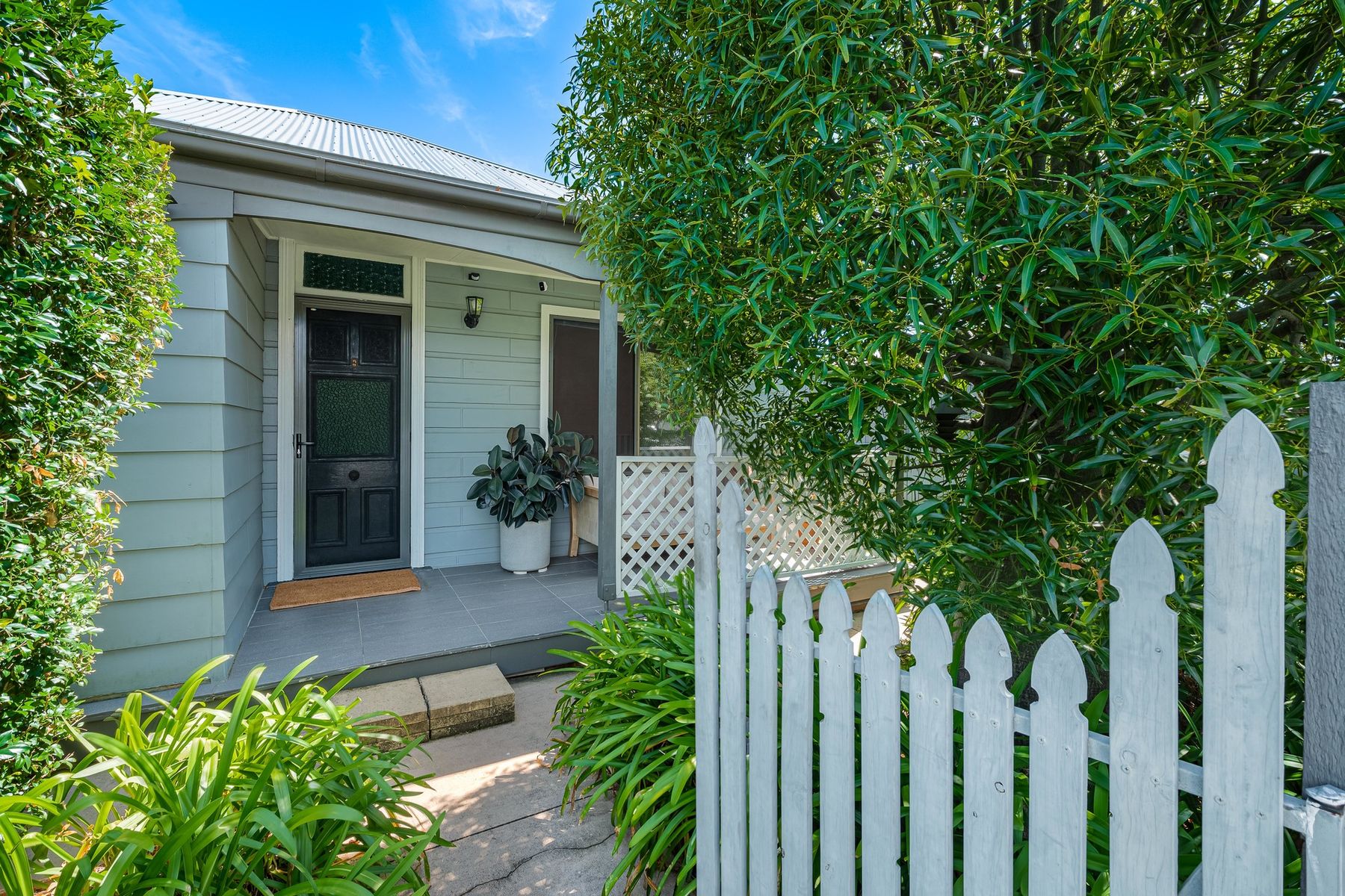 12 Victoria Street, Adamstown NSW 2289, Adamstown - Thumbnail 2