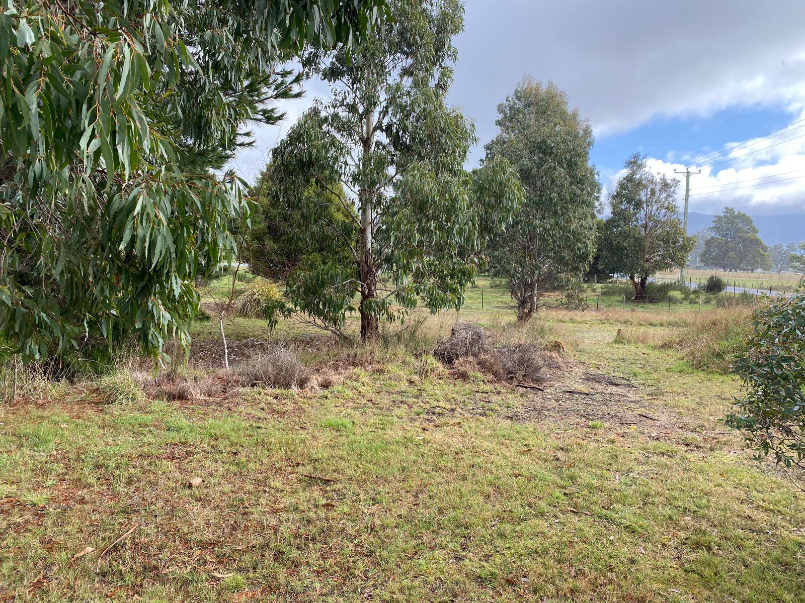 43 Union Bridge Road, Mole Creek TAS 7304, Mole Creek - Thumbnail 3