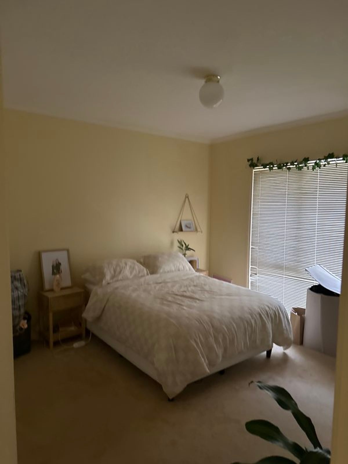 174 Eighth Street, Mildura - Thumbnail 6