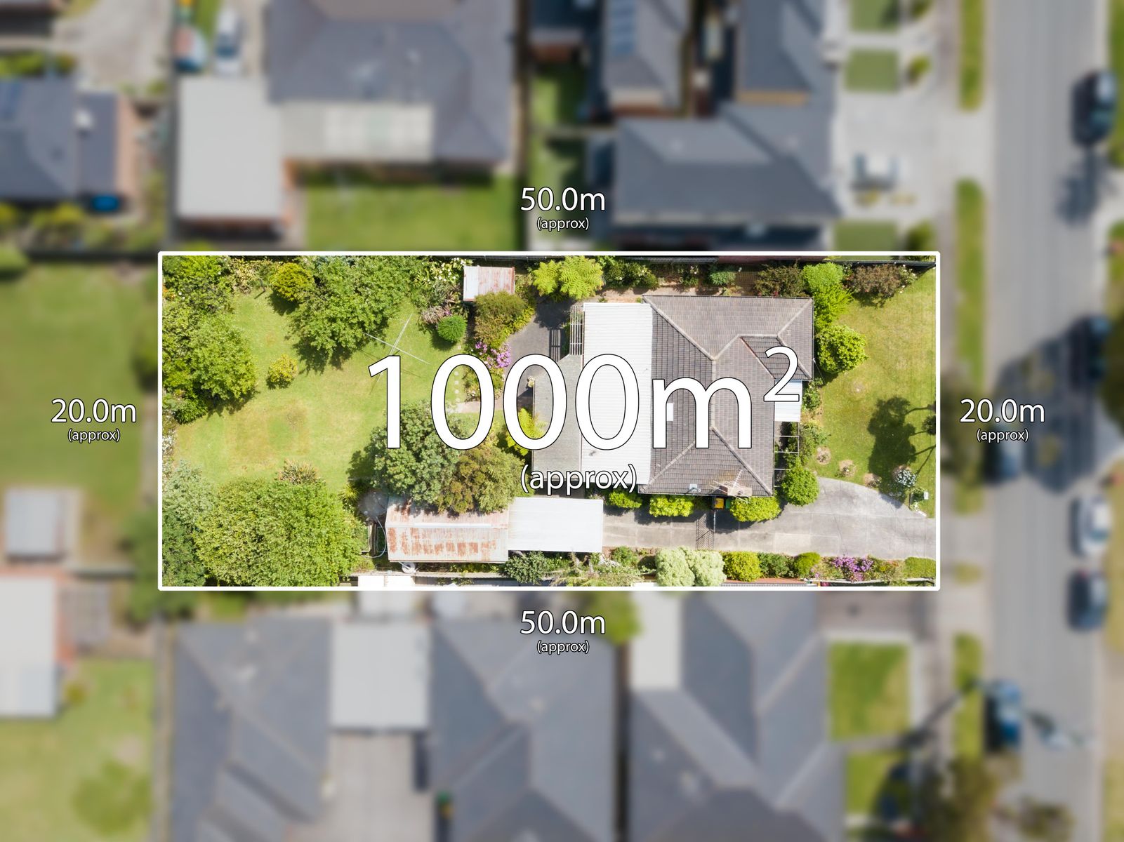 50 Ardgower Road, Noble Park, VIC 3174, Noble Park - Thumbnail 3