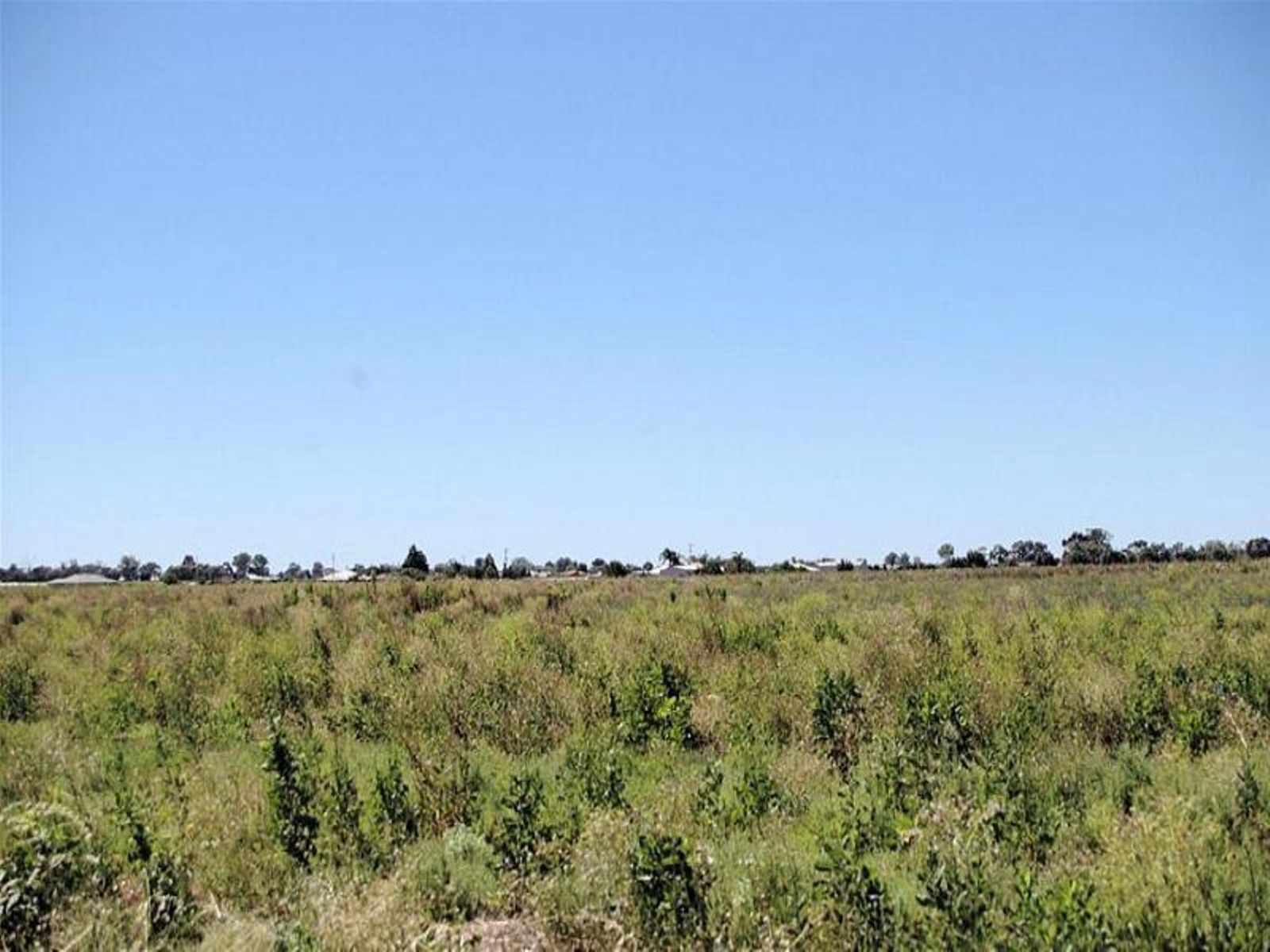 3148 Riverside Avenue, Mildura - Thumbnail 4