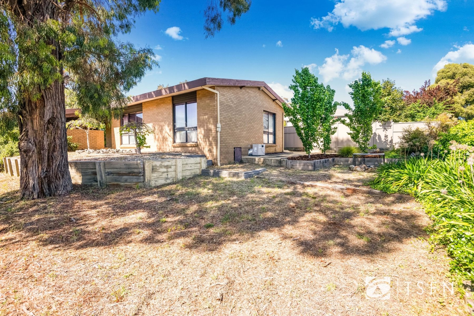 59 Harley Street, Strathdale VIC 3550, Strathdale - Thumbnail 5
