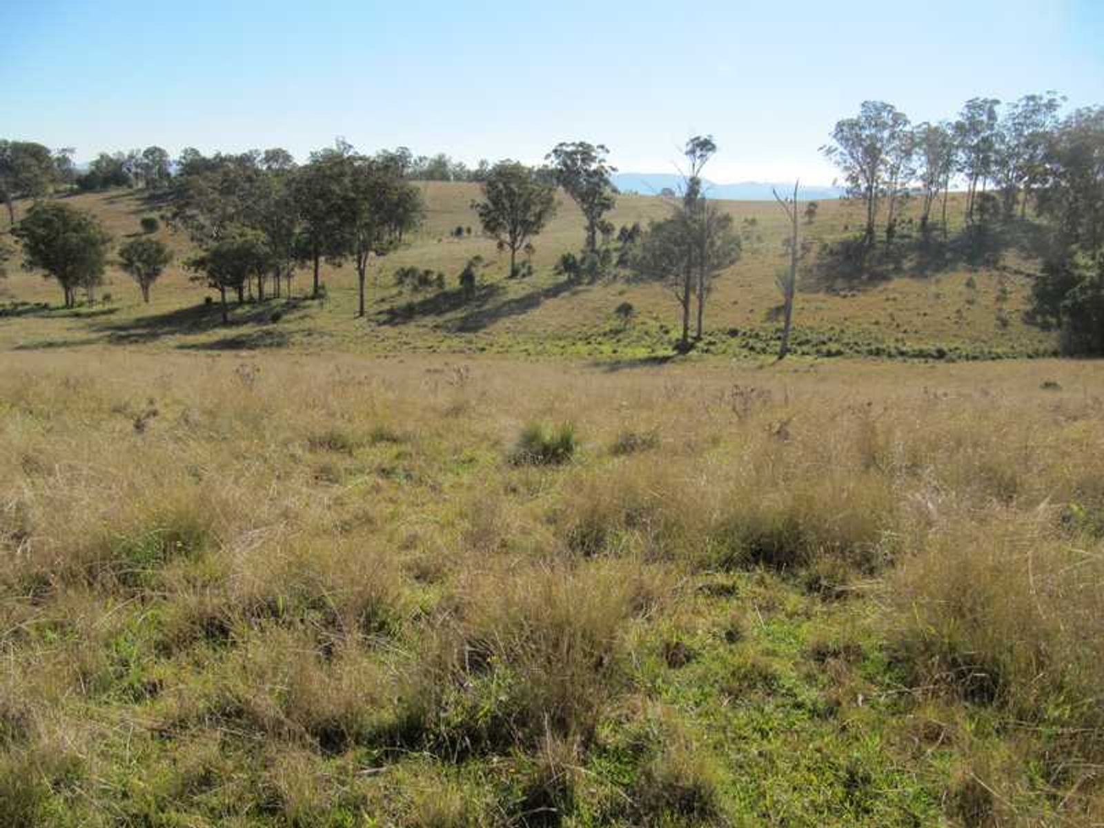 Barlows Gate Road QLD 4373, Barlows Gate Road - Thumbnail 8