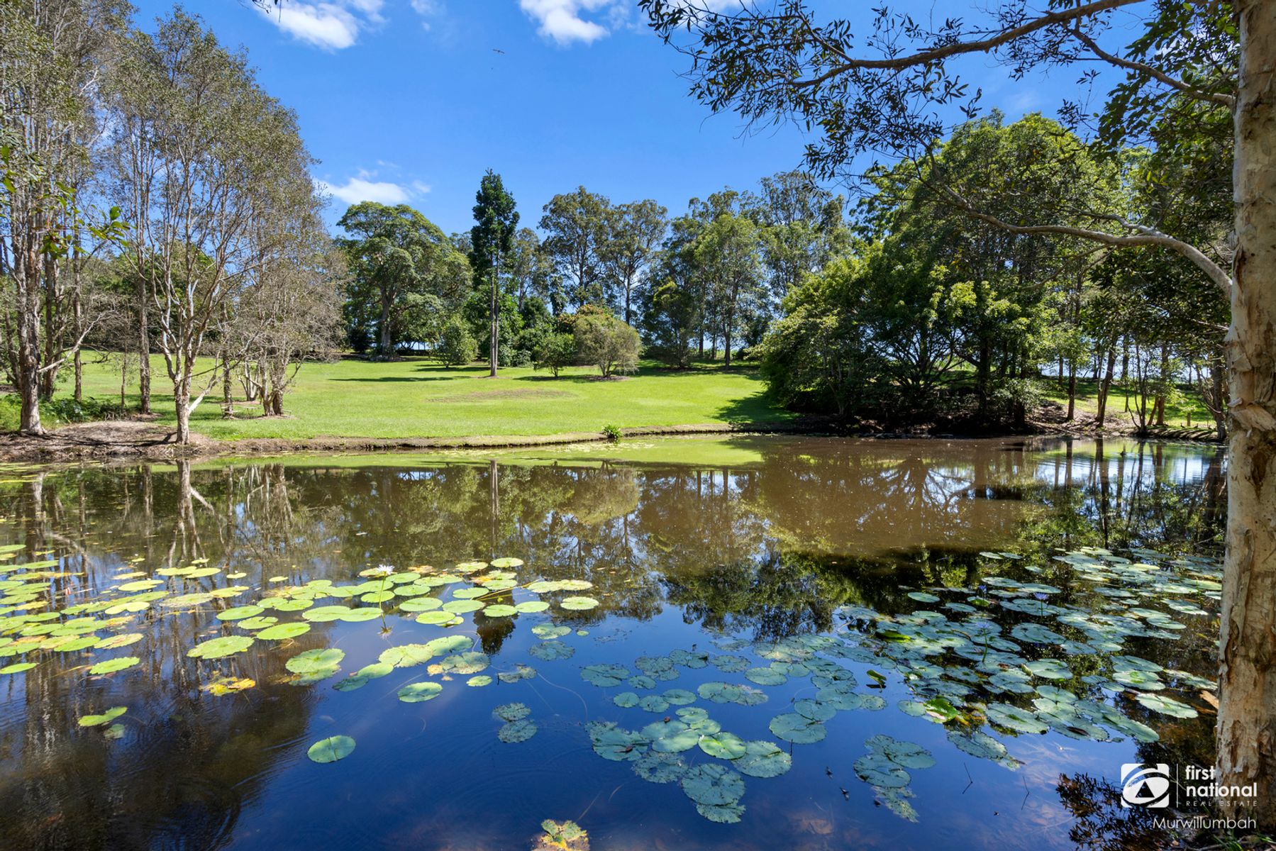 34 Baromi Road, Kynnumboon NSW 2484, Kynnumboon - Thumbnail 4