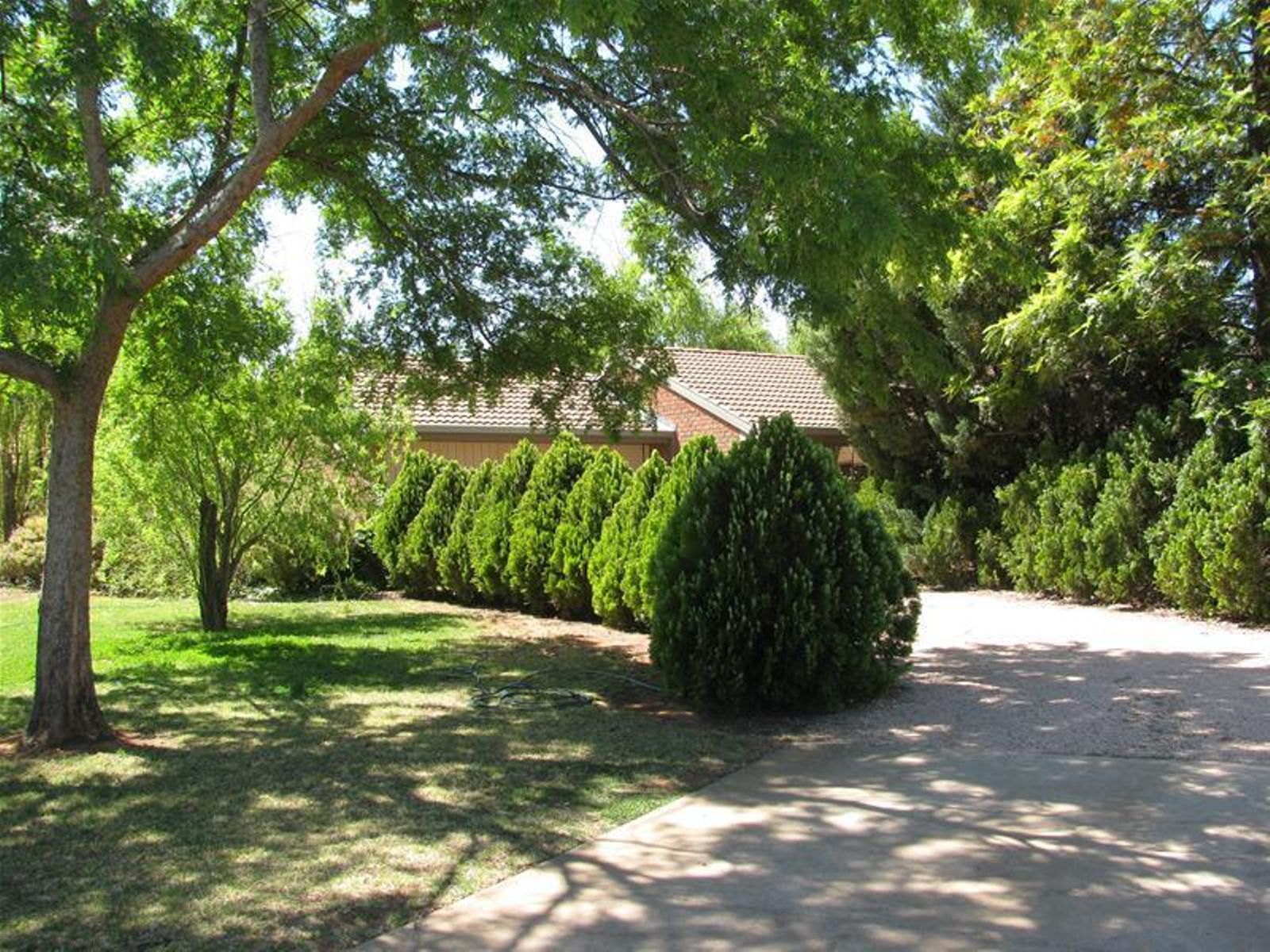 7 Garden Court, Mildura - Thumbnail 3