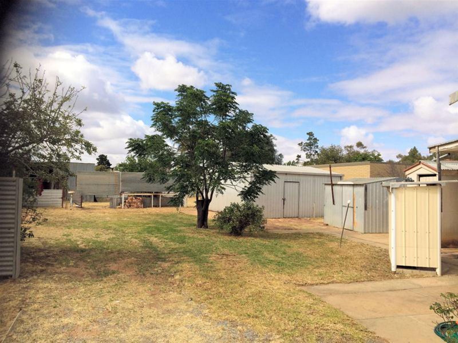 50 Avoca Street, Dareton - Thumbnail 6