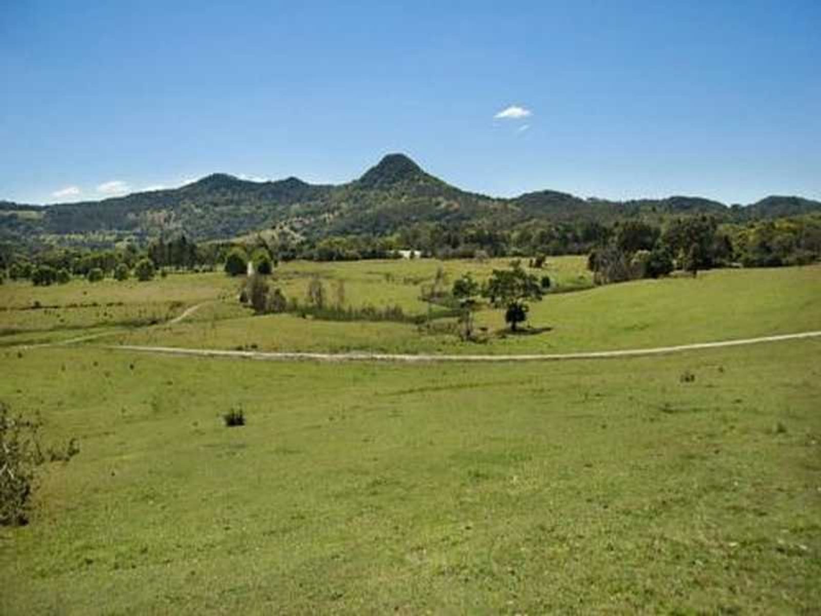 49 Tuckeroo Avenue, Mullumbimby - Thumbnail 4