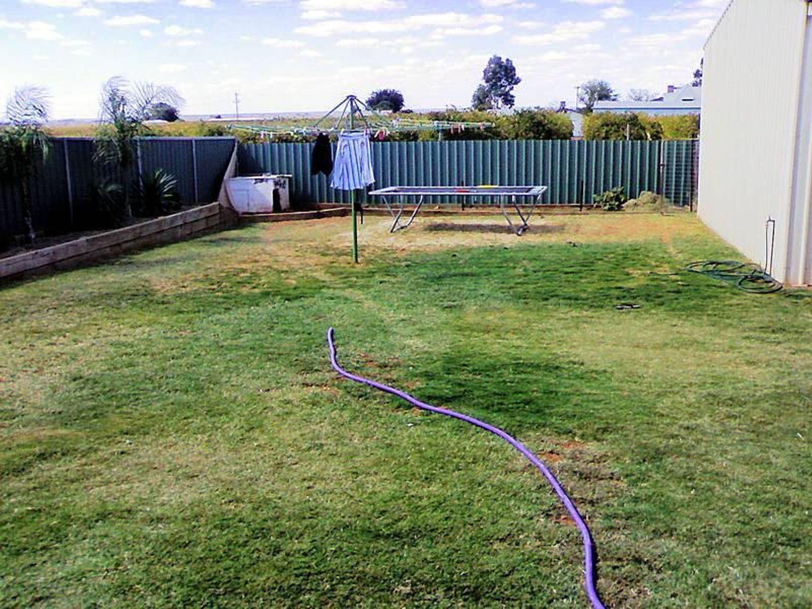 4 Crane Drive, Buronga - Thumbnail 3